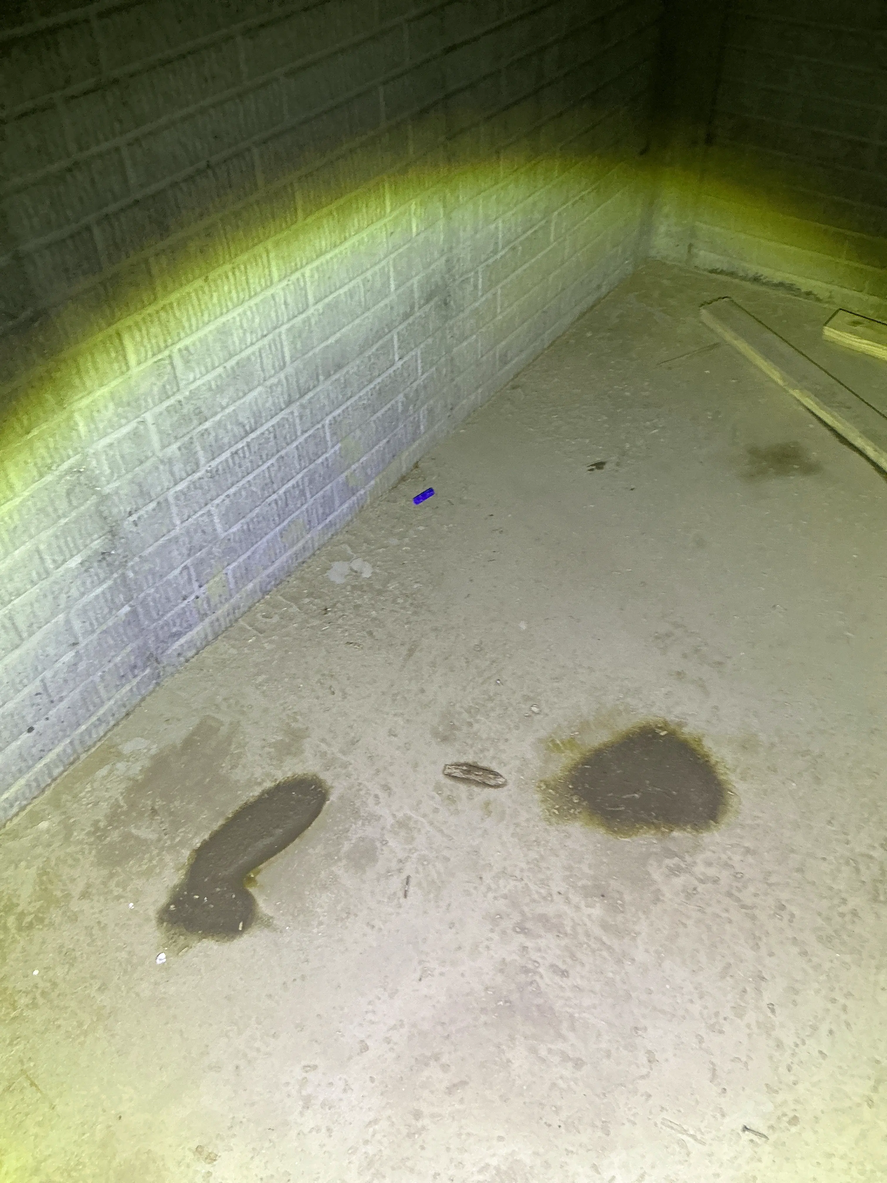 Moisture stains on concrete wall inspected for water leaks 2026-08-28