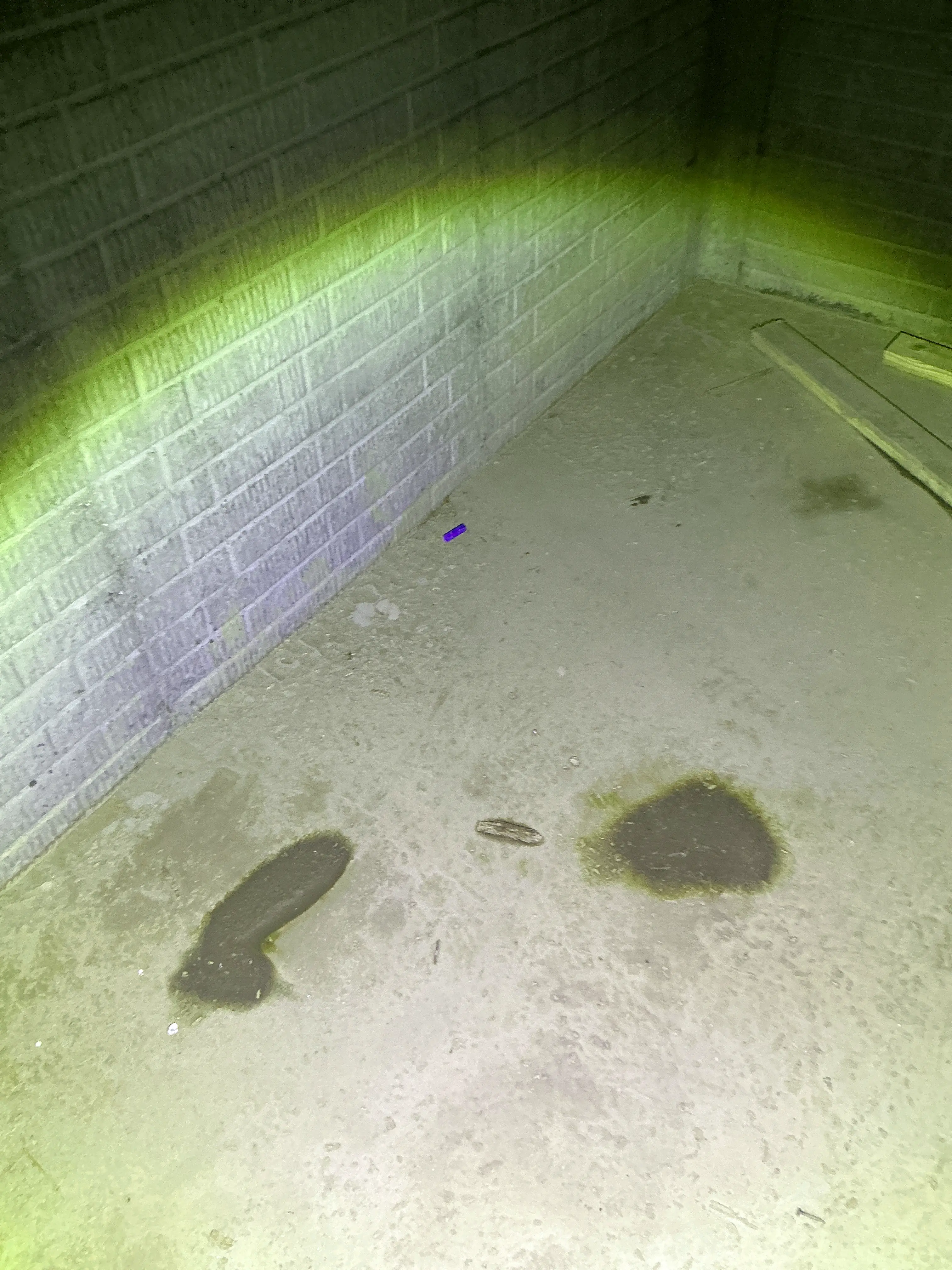 Moisture stains on concrete wall inspected for water leaks 2026-07-17