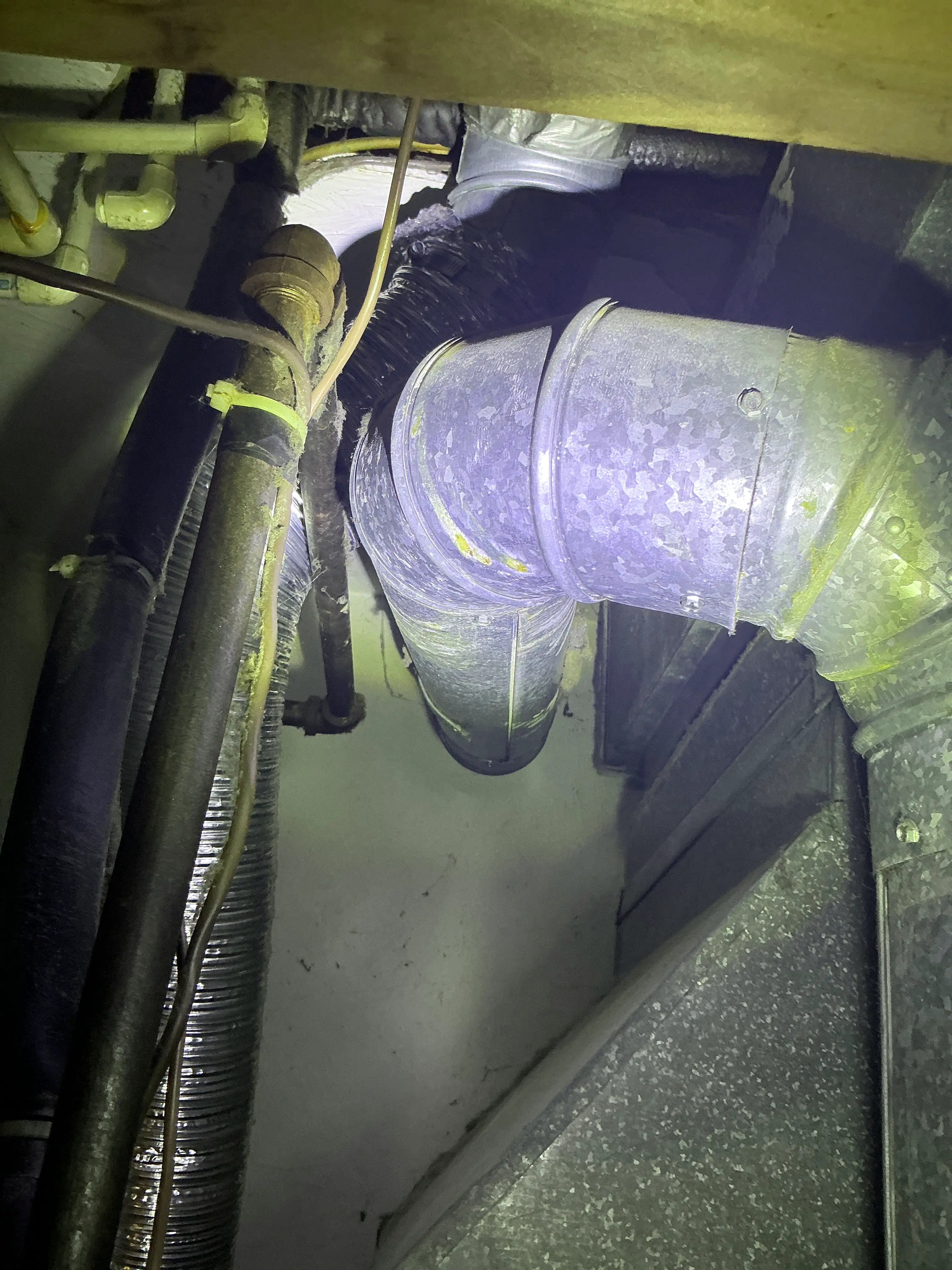 Galvanized HVAC ductwork and insulated plumbing pipes during mold testing 2026-07-10