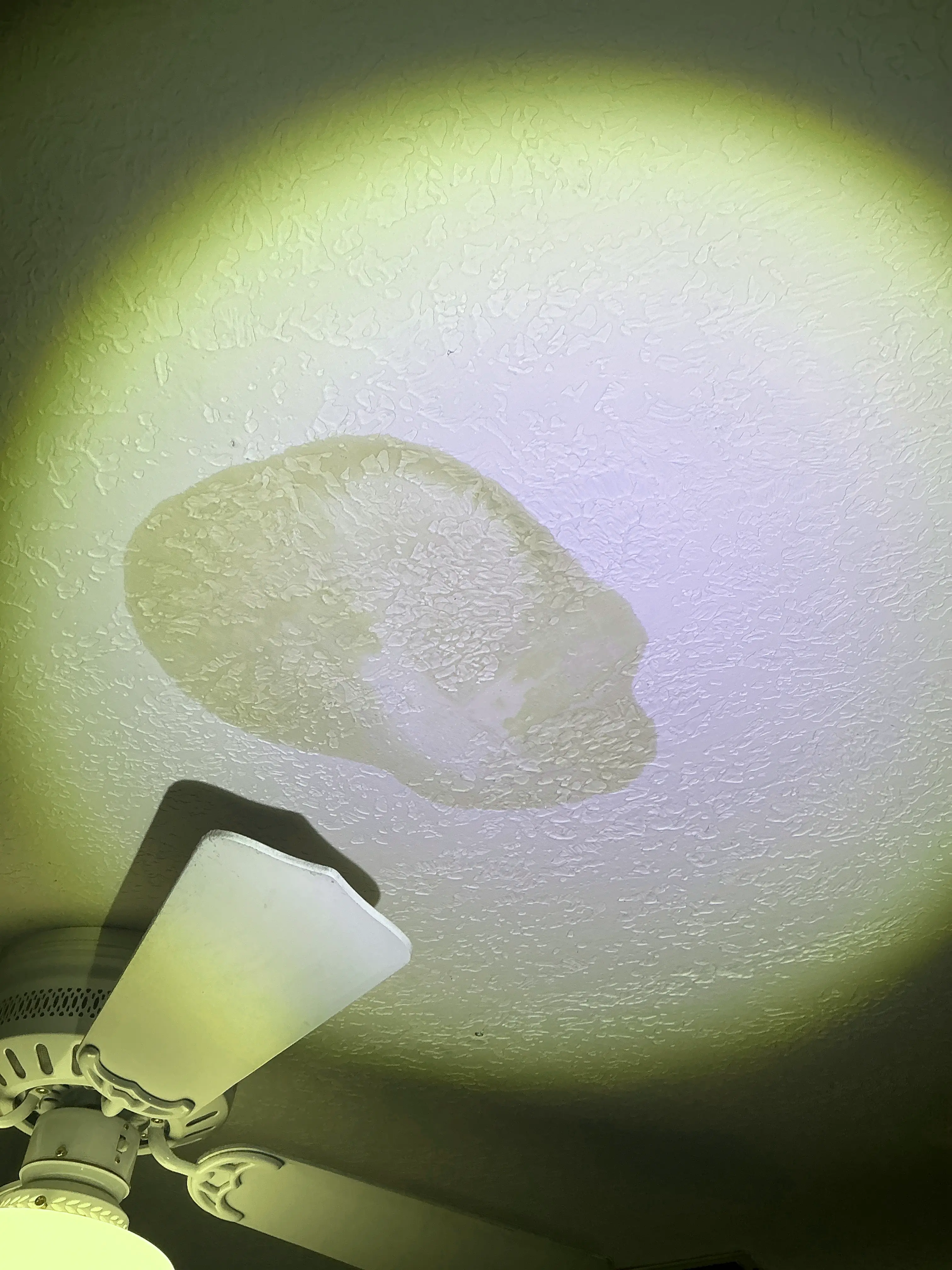 Large brown water stain on textured ceiling highlighted by a flashlight 2026-08-12