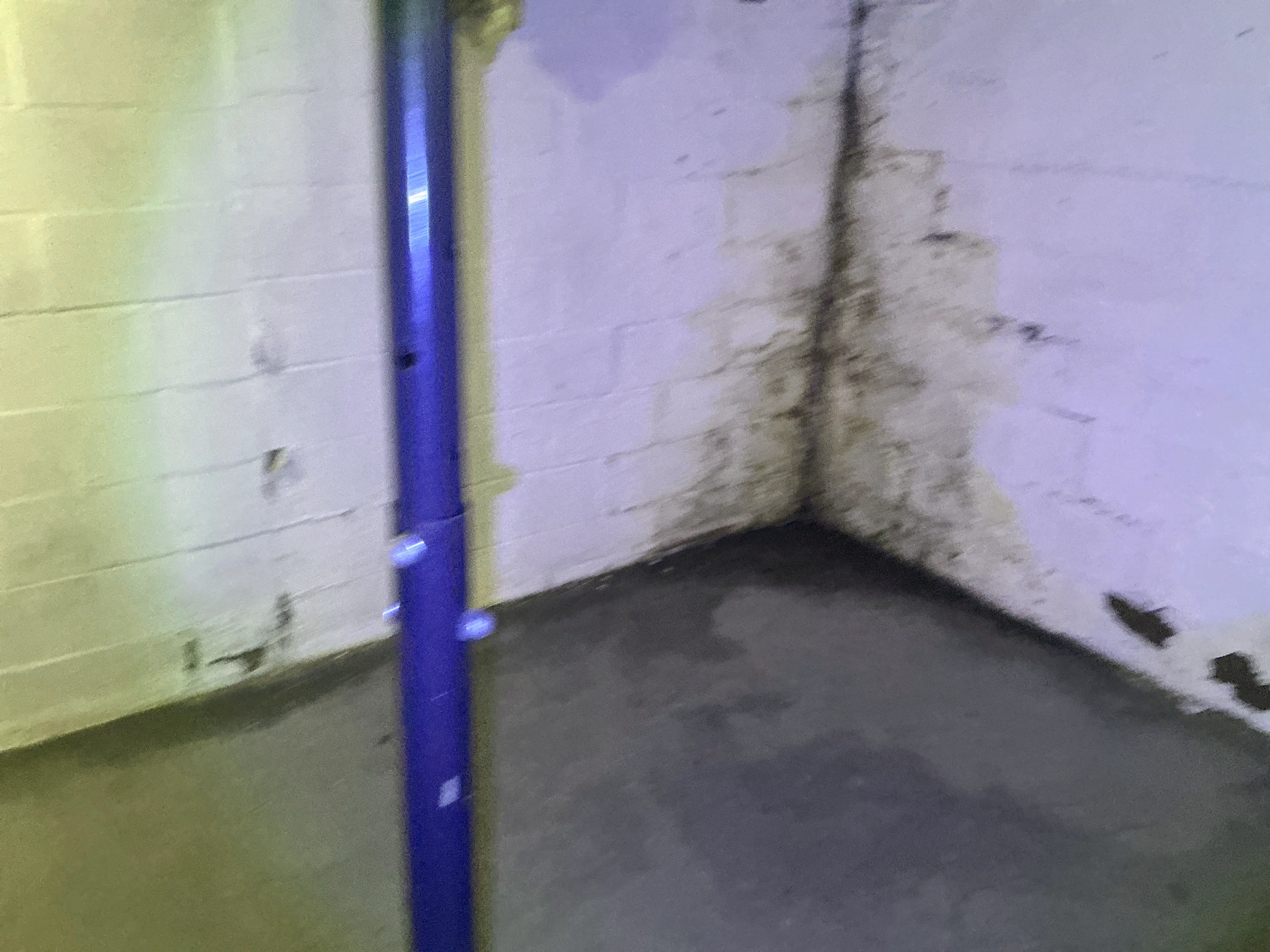 Water staining and dampness on painted cinder block basement wall near support column 2026-07-22