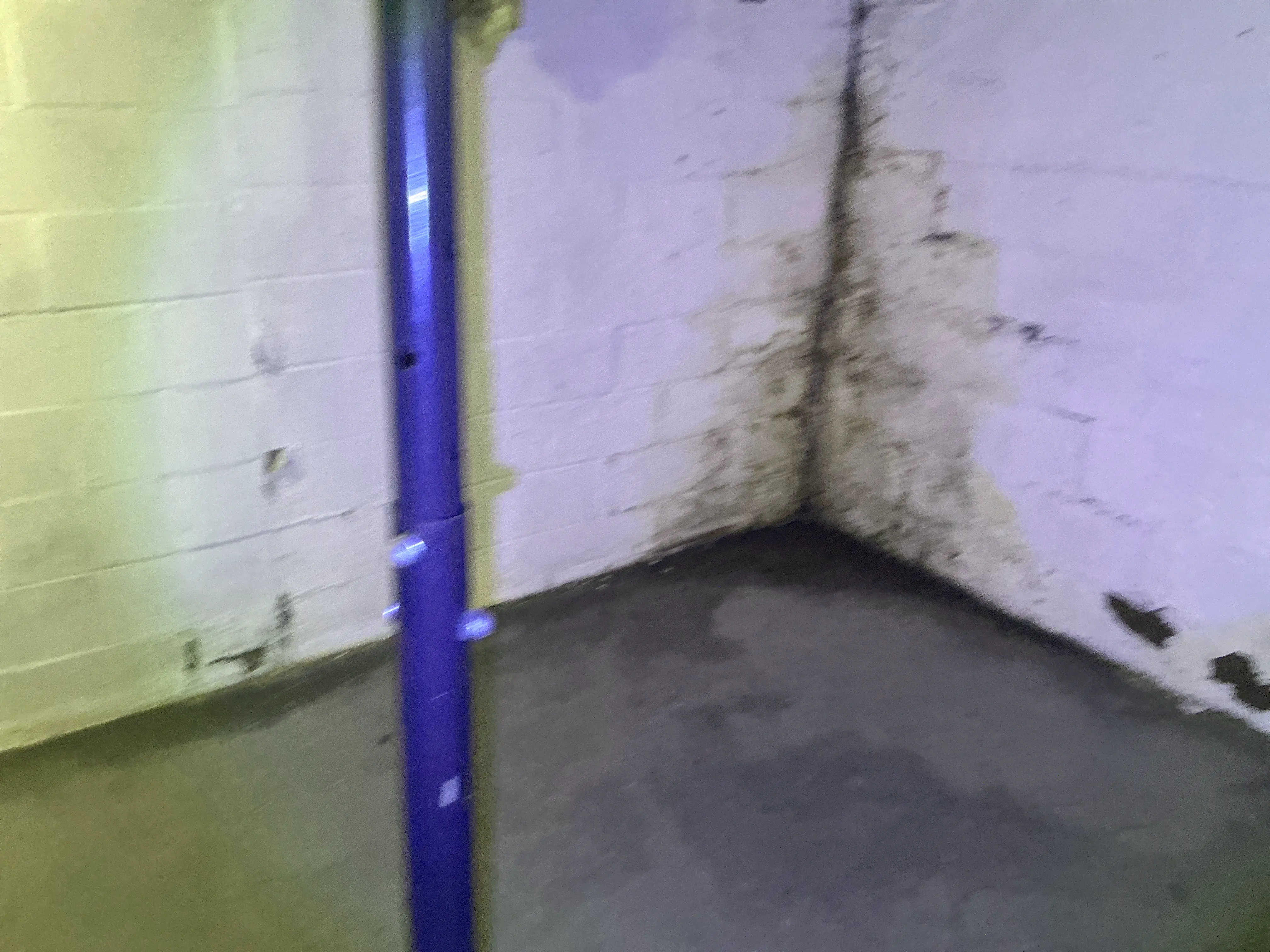 Water staining and dampness on painted cinder block basement wall near support column 2026-07-16