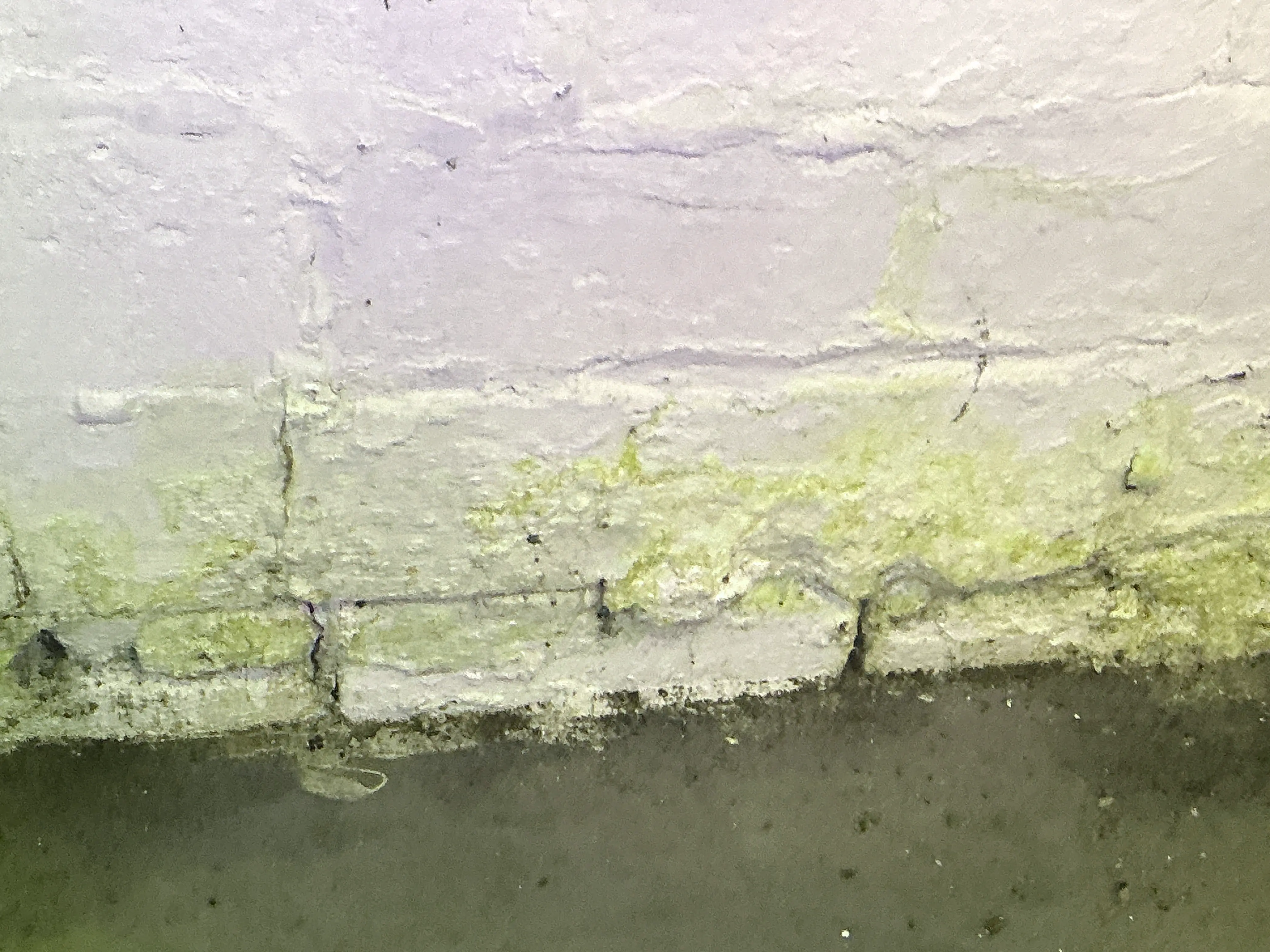 Moisture damage and efflorescence on painted masonry wall foundation 2026-07-19