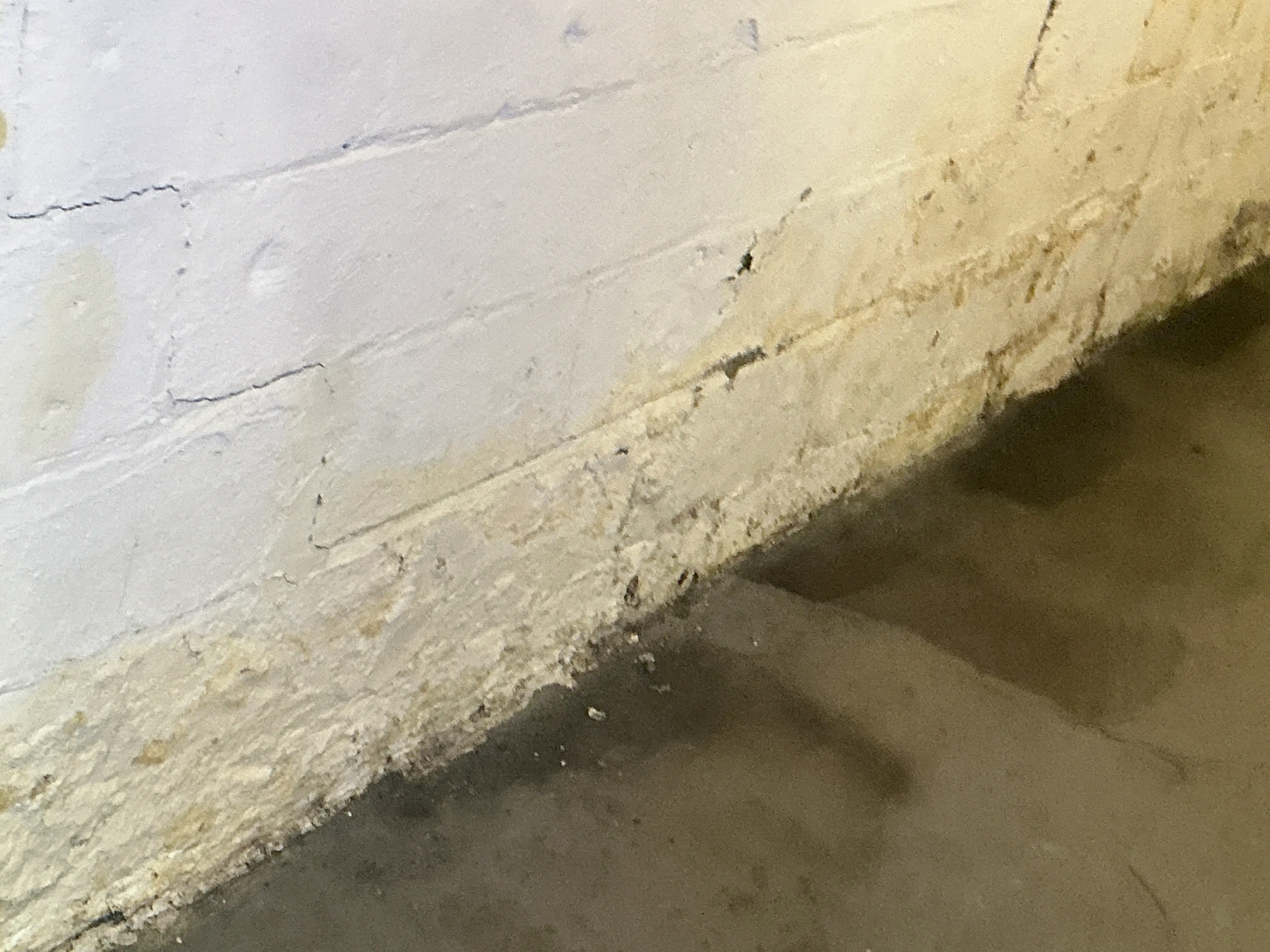 Efflorescence and water damage at the base of a painted basement block wall with wet concrete floor 2026-08-08