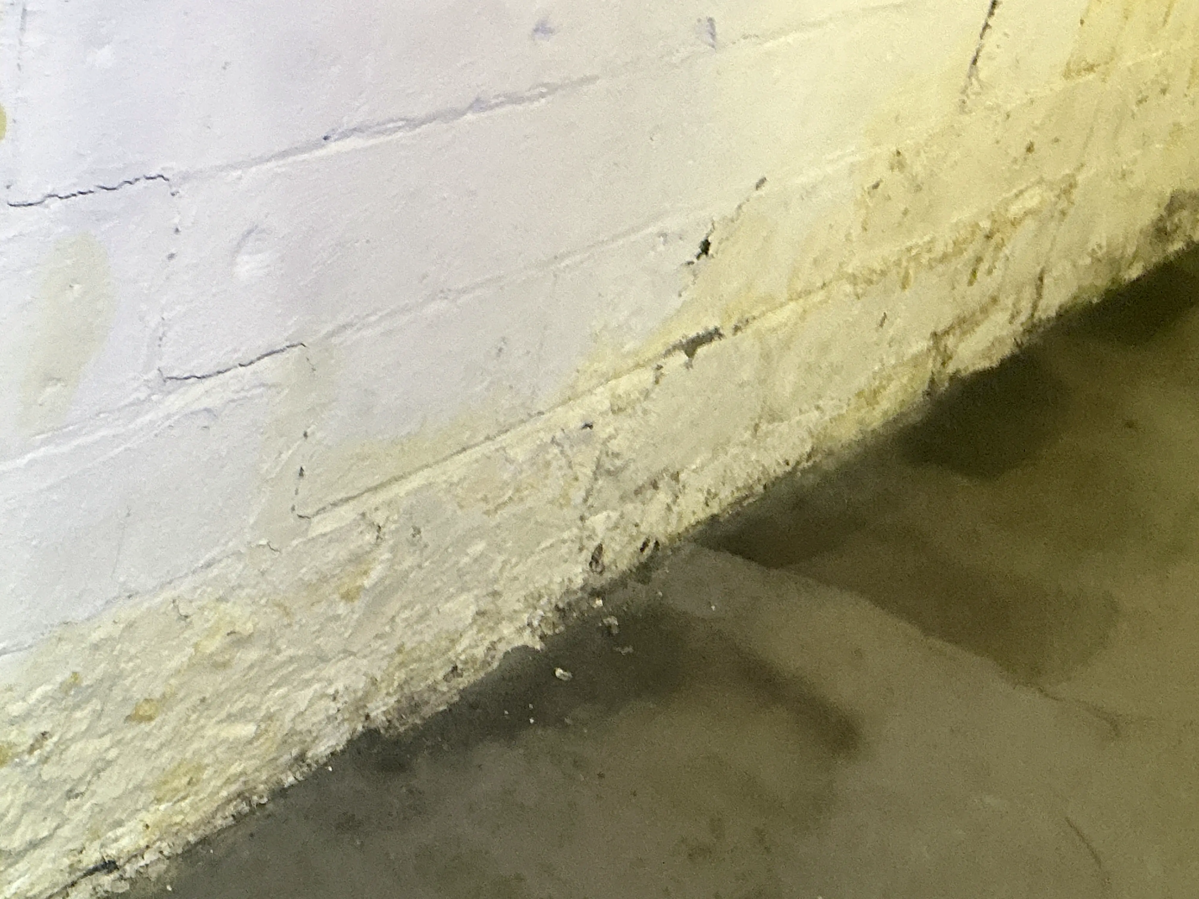 Efflorescence and water damage at the base of a painted basement block wall with wet concrete floor 2026-07-25