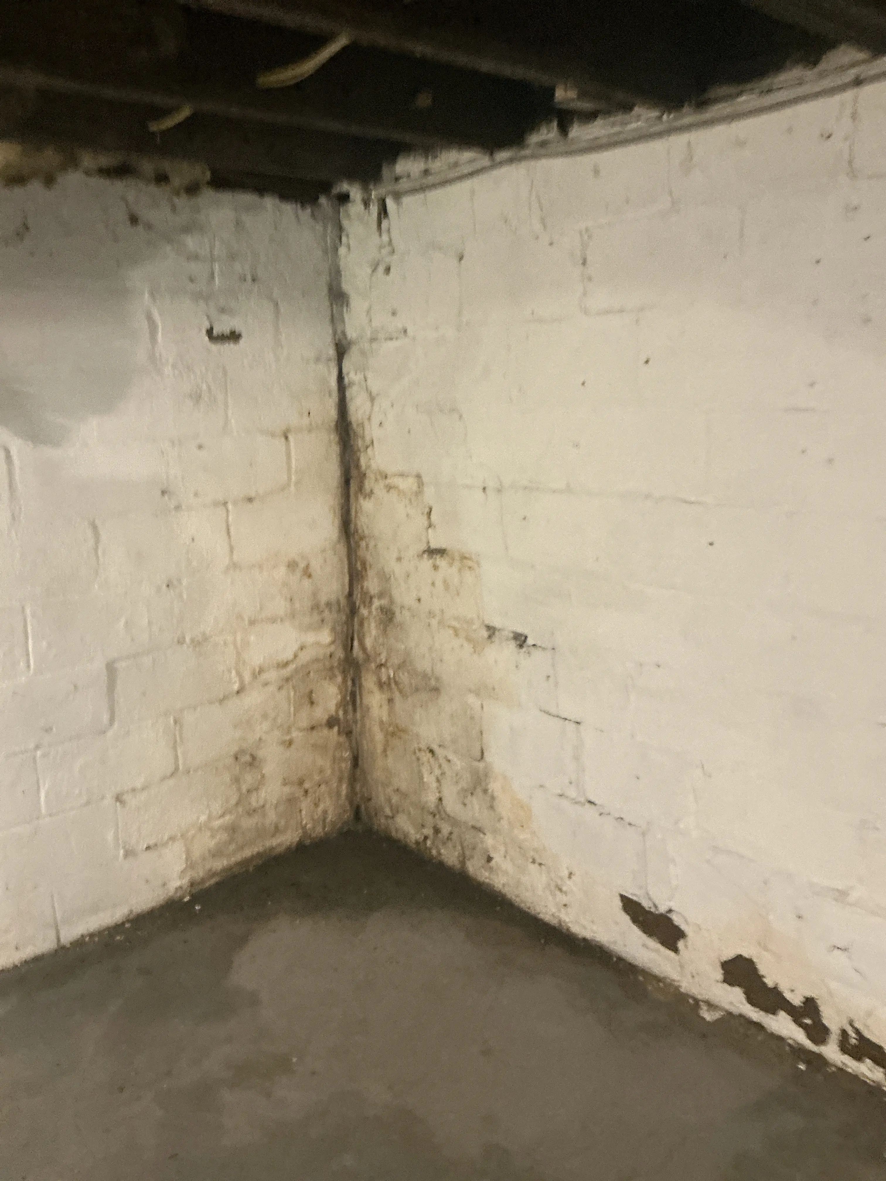 Moisture staining and water damage on basement painted brick wall 2026-08-11