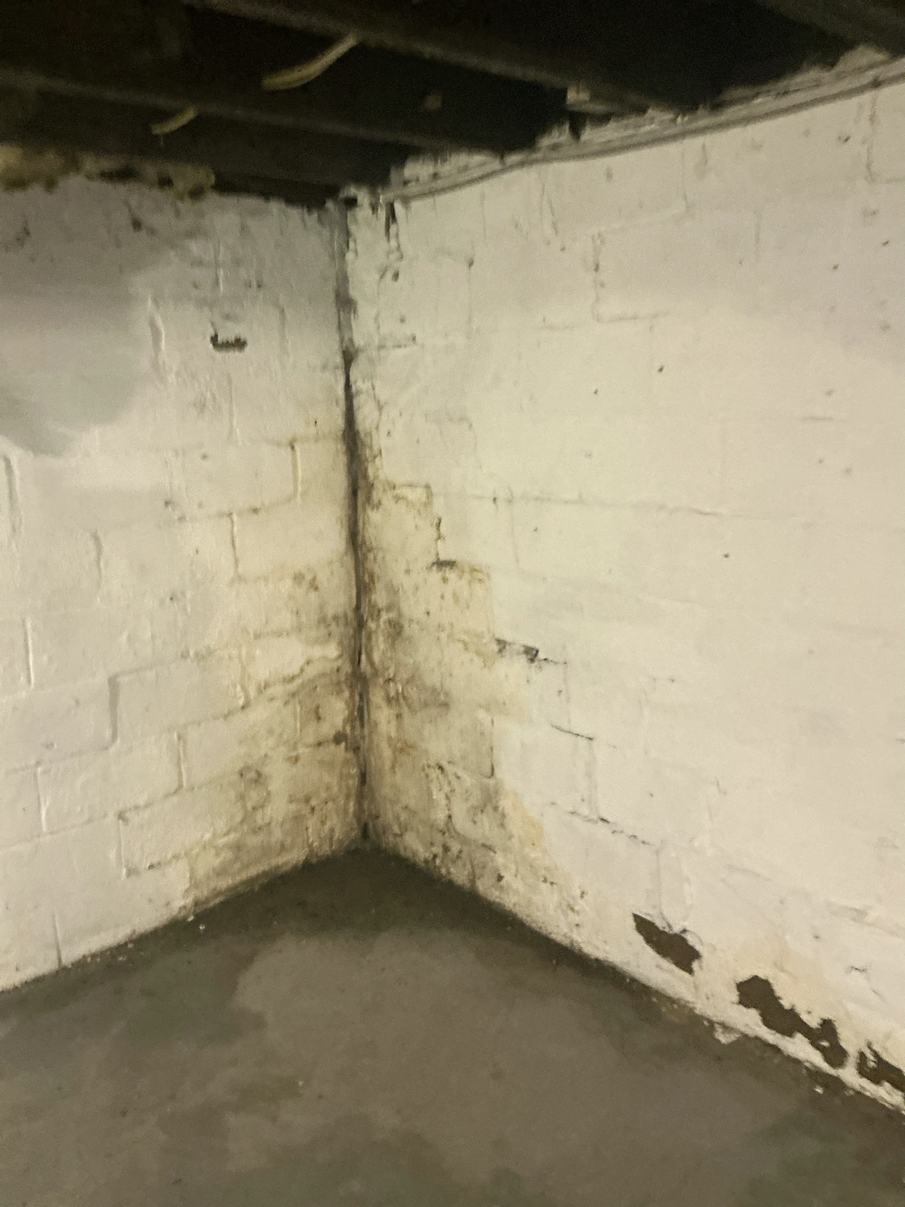 Moisture staining and water damage on basement painted brick wall 2026-08-15