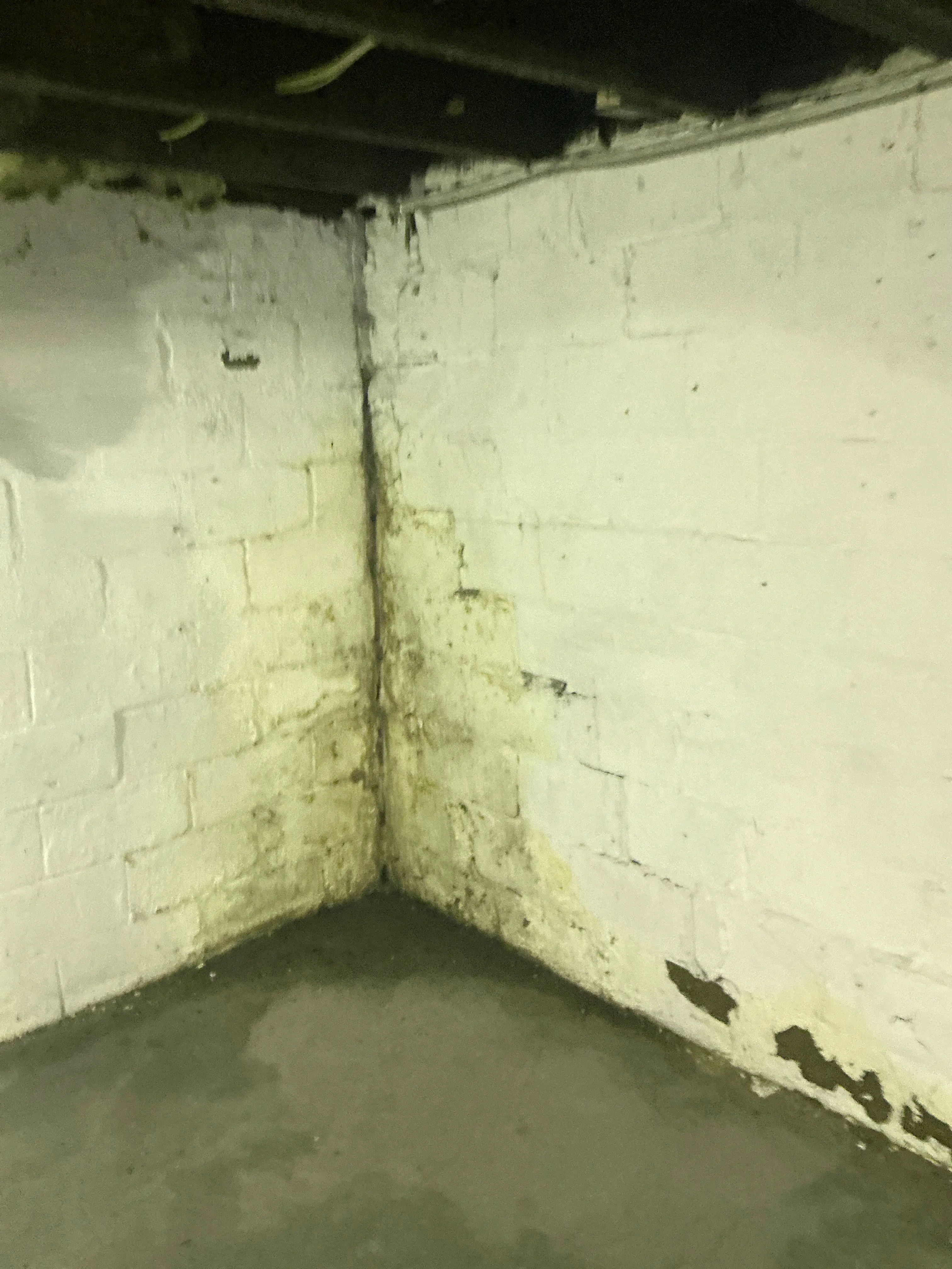 Moisture staining and water damage on basement painted brick wall 2026-08-30