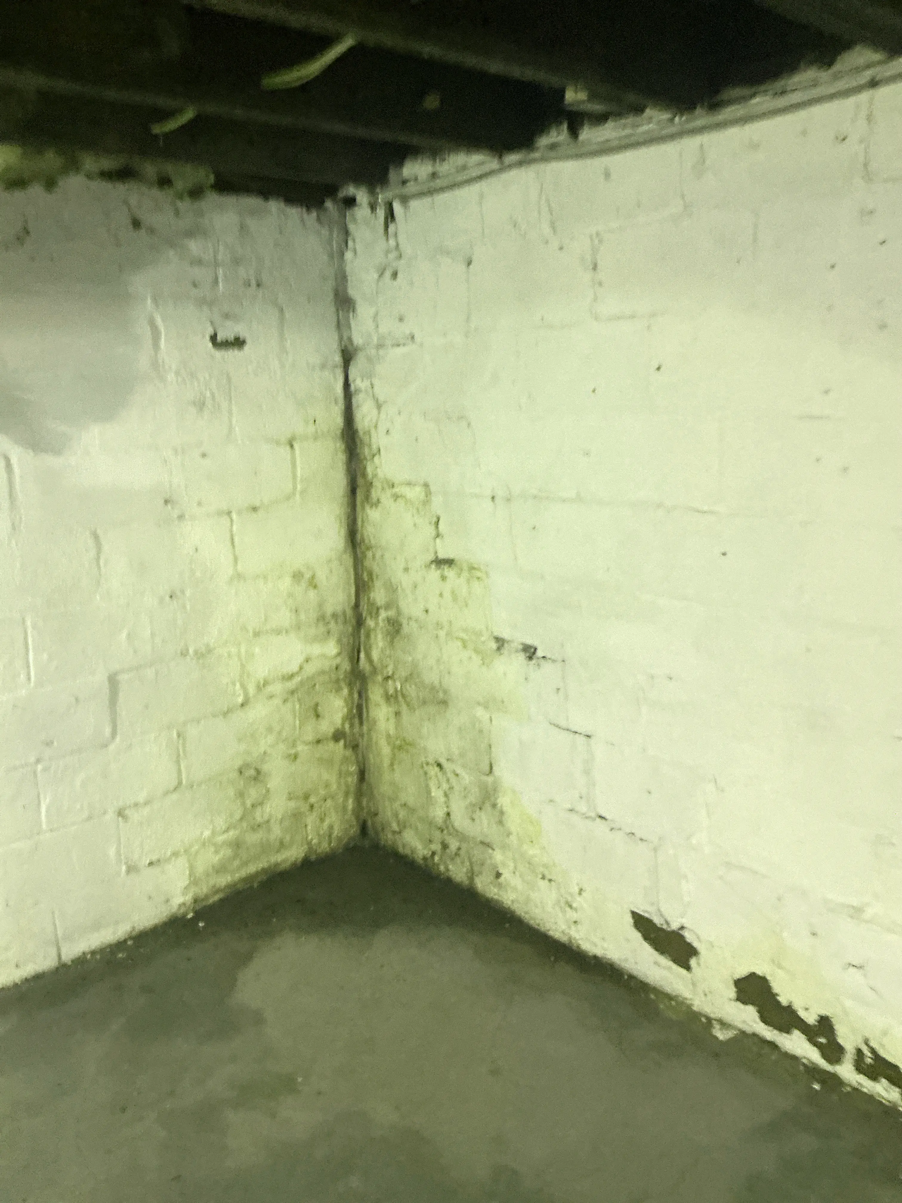 Moisture staining and water damage on basement painted brick wall 2026-07-24