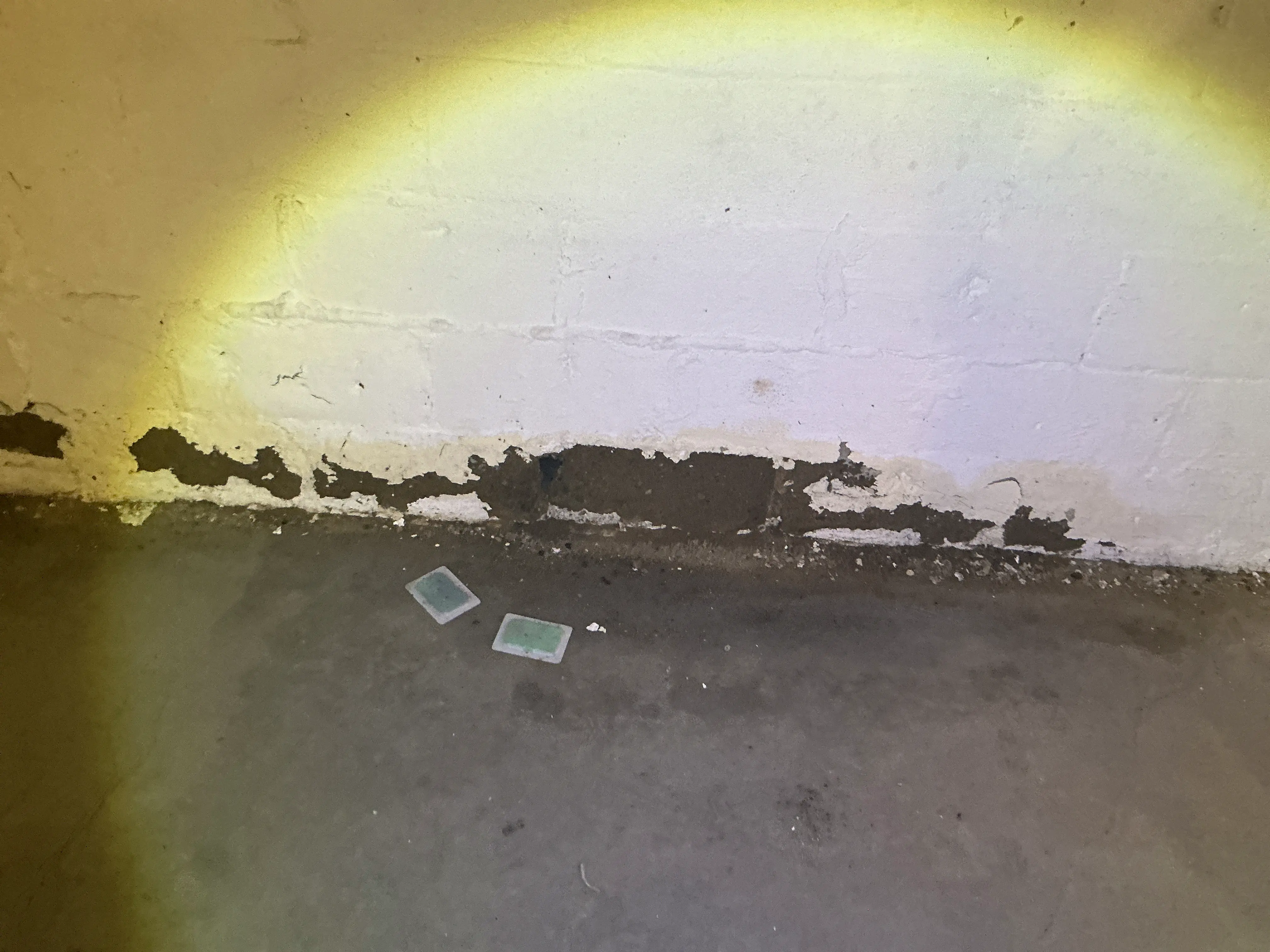 Peeling paint and signs of moisture intrusion on a basement foundation wall 2026-08-26