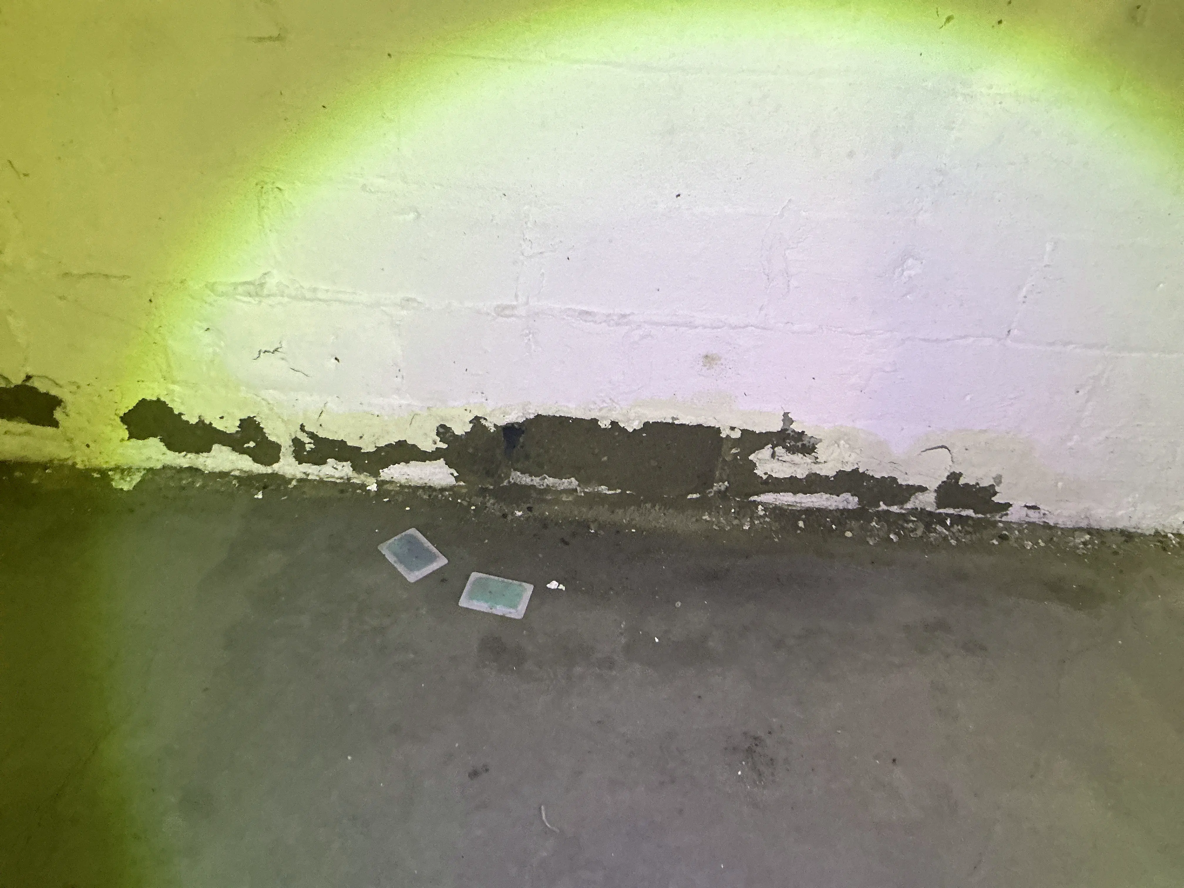 Peeling paint and signs of moisture intrusion on a basement foundation wall 2026-07-26