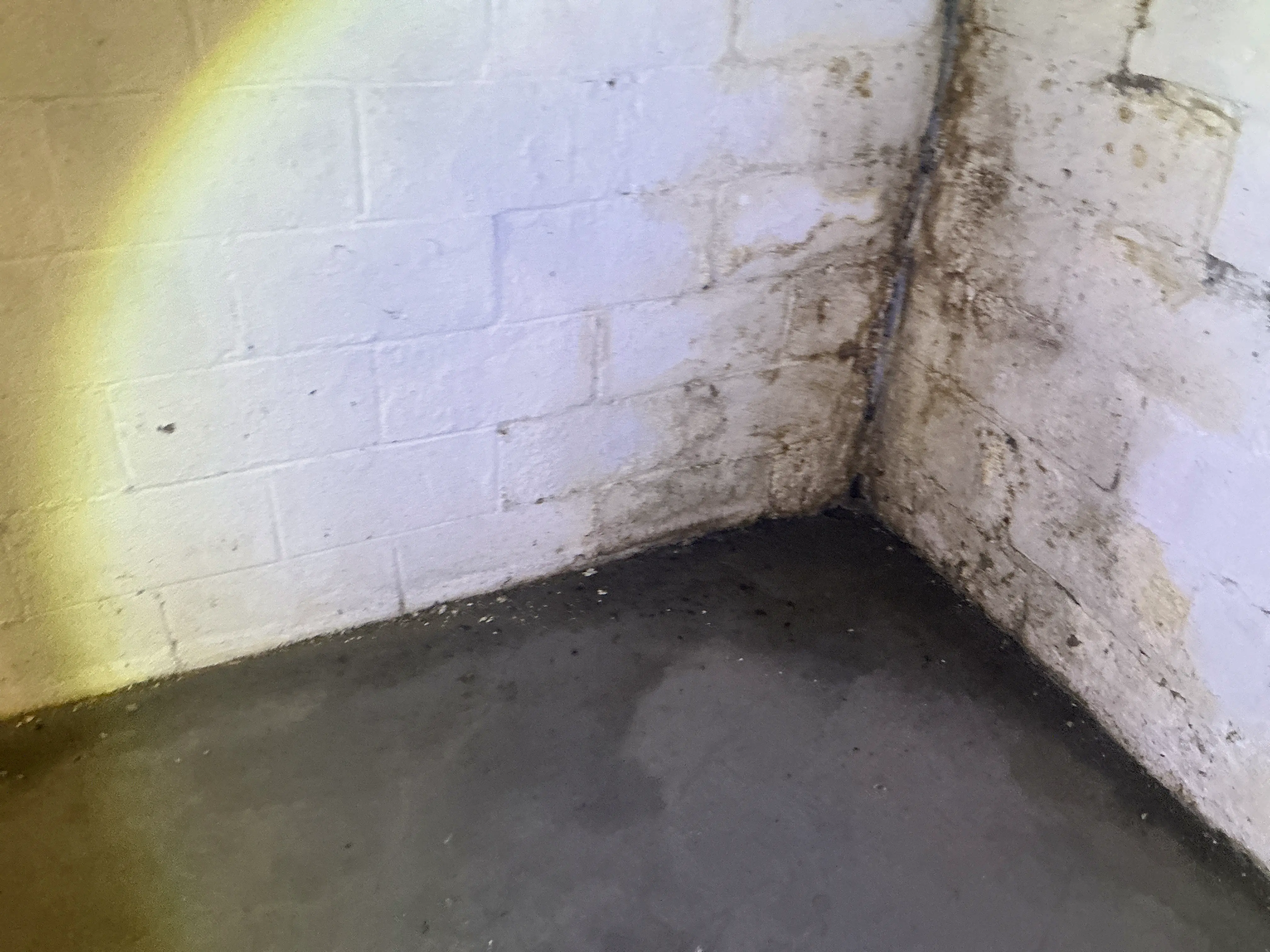 Basement foundation wall corner showing water stains and moisture intrusion on cinder block and floor 2026-07-26