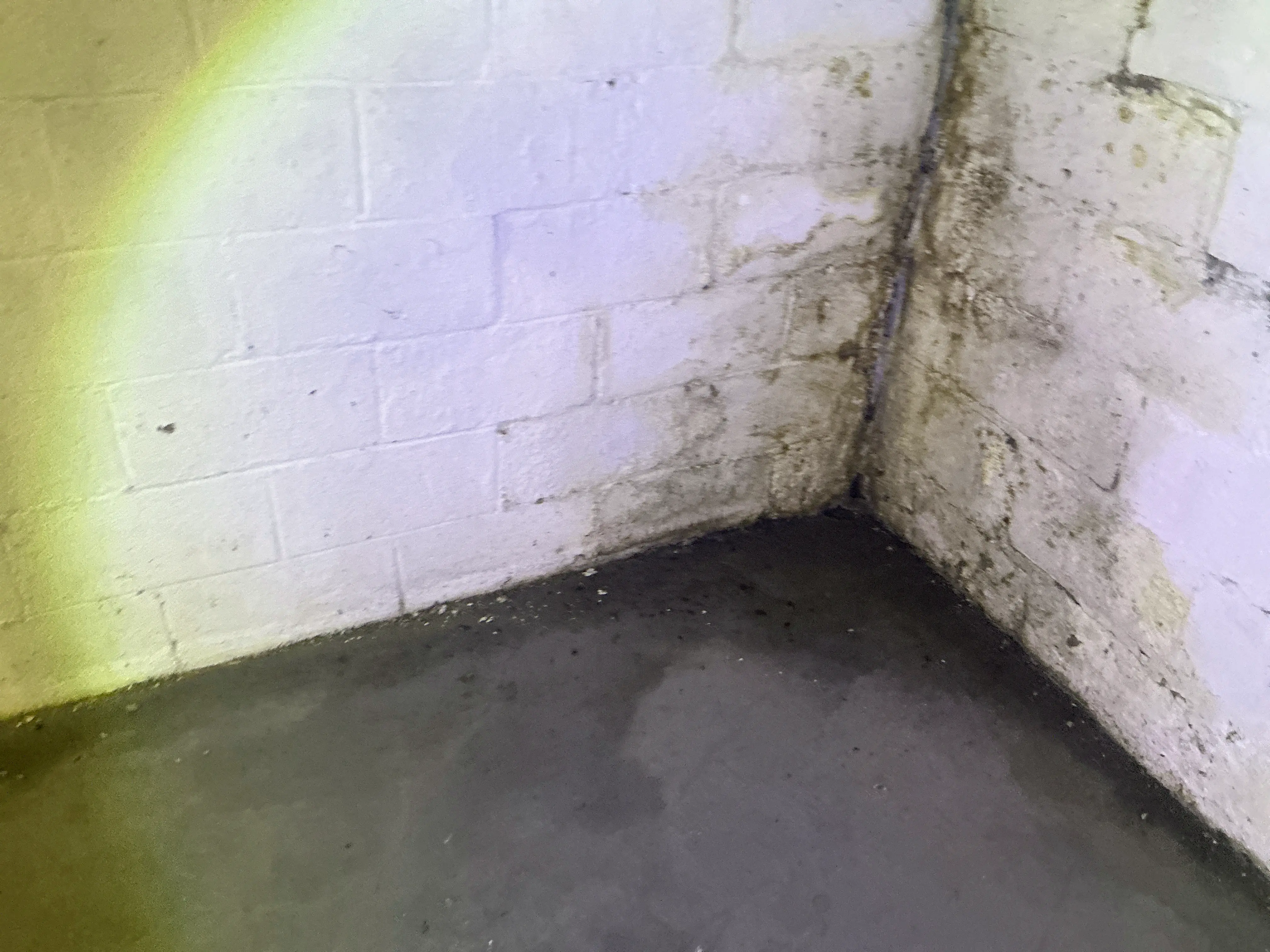 Basement foundation wall corner showing water stains and moisture intrusion on cinder block and floor 2026-07-23