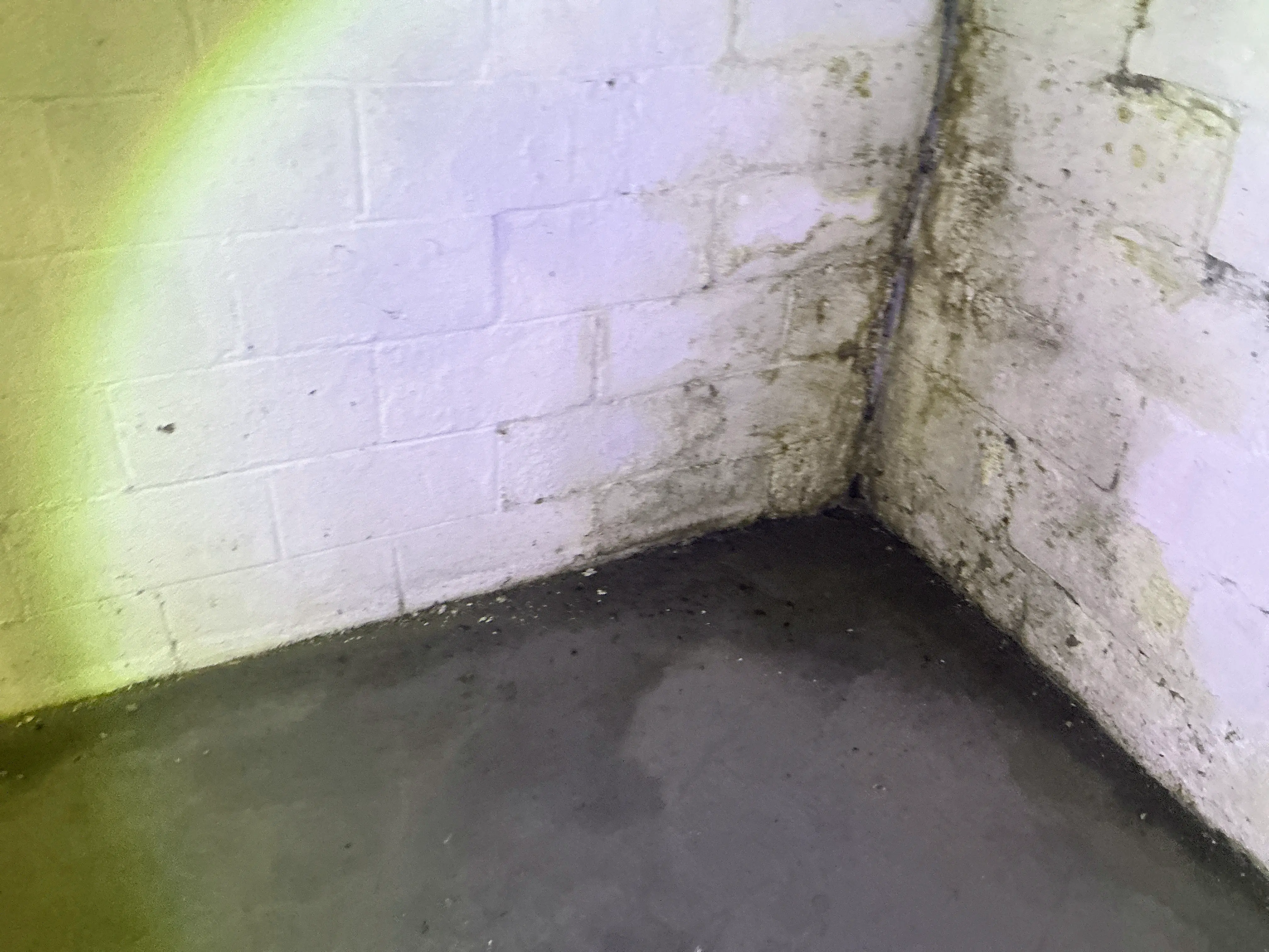 Basement foundation wall corner showing water stains and moisture intrusion on cinder block and floor 2026-08-05
