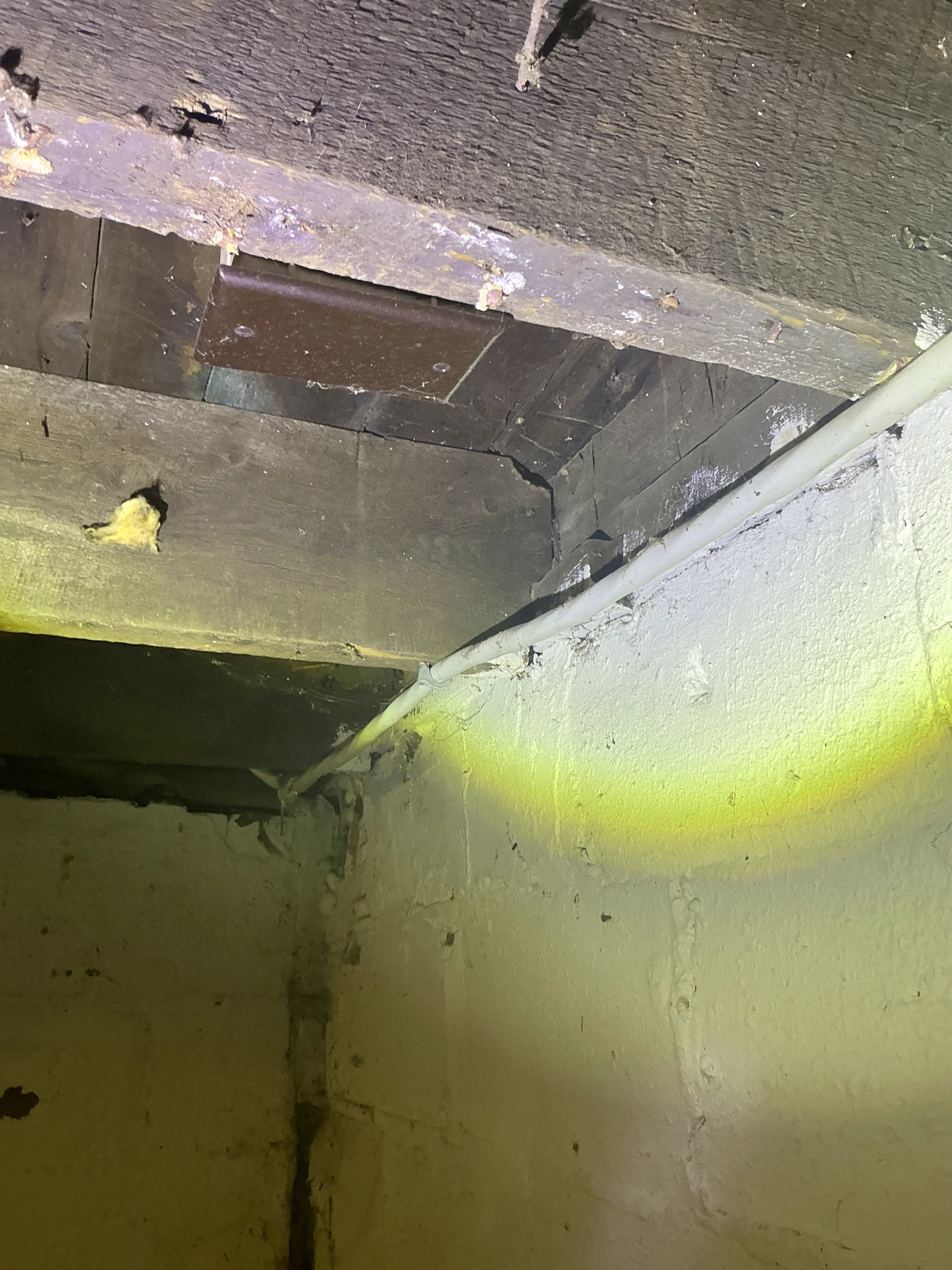 Electrical cable running along wooden floor joists adjacent to painted foundation wall 2026-07-14