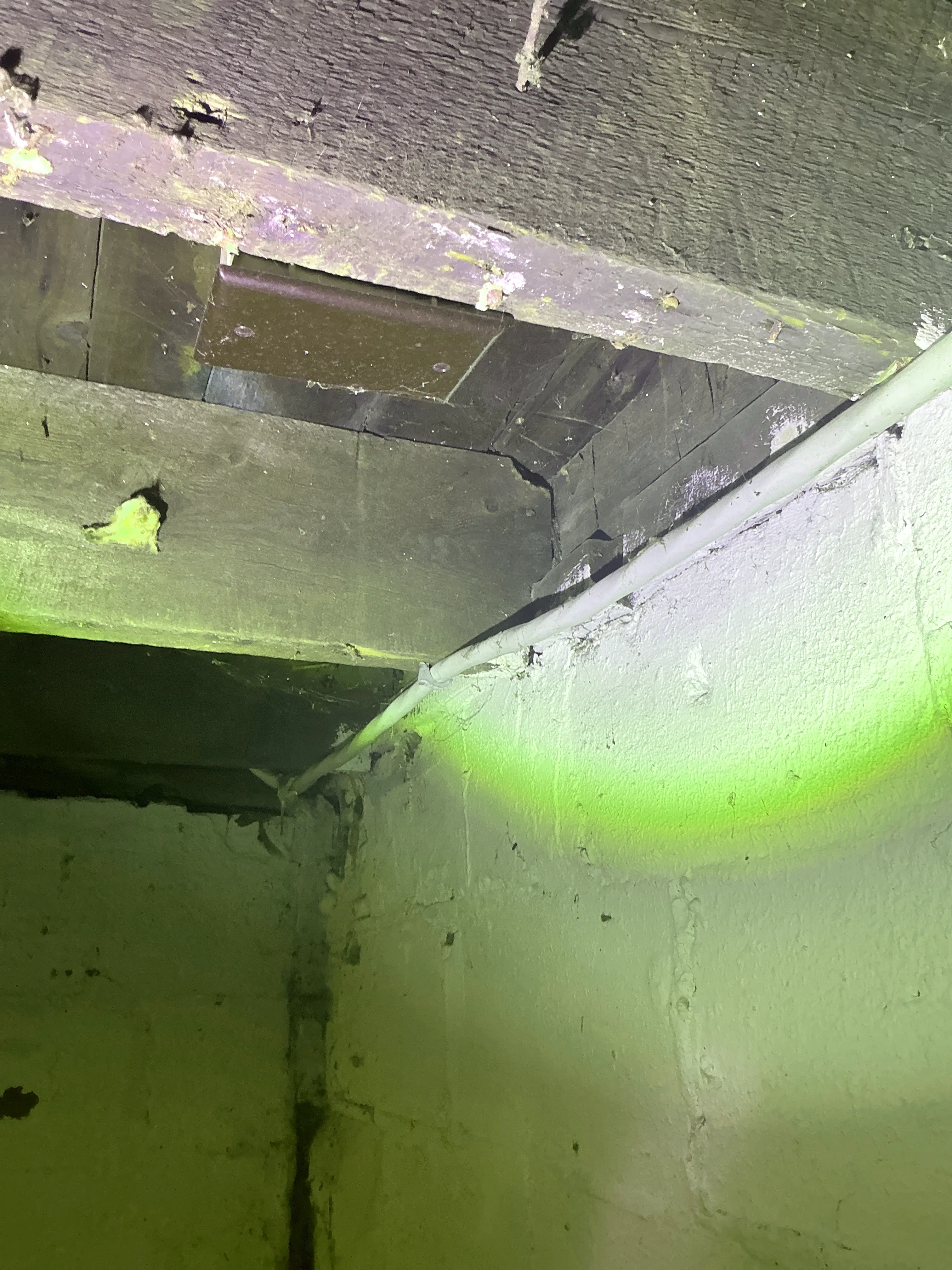 Electrical cable running along wooden floor joists adjacent to painted foundation wall 2026-08-01