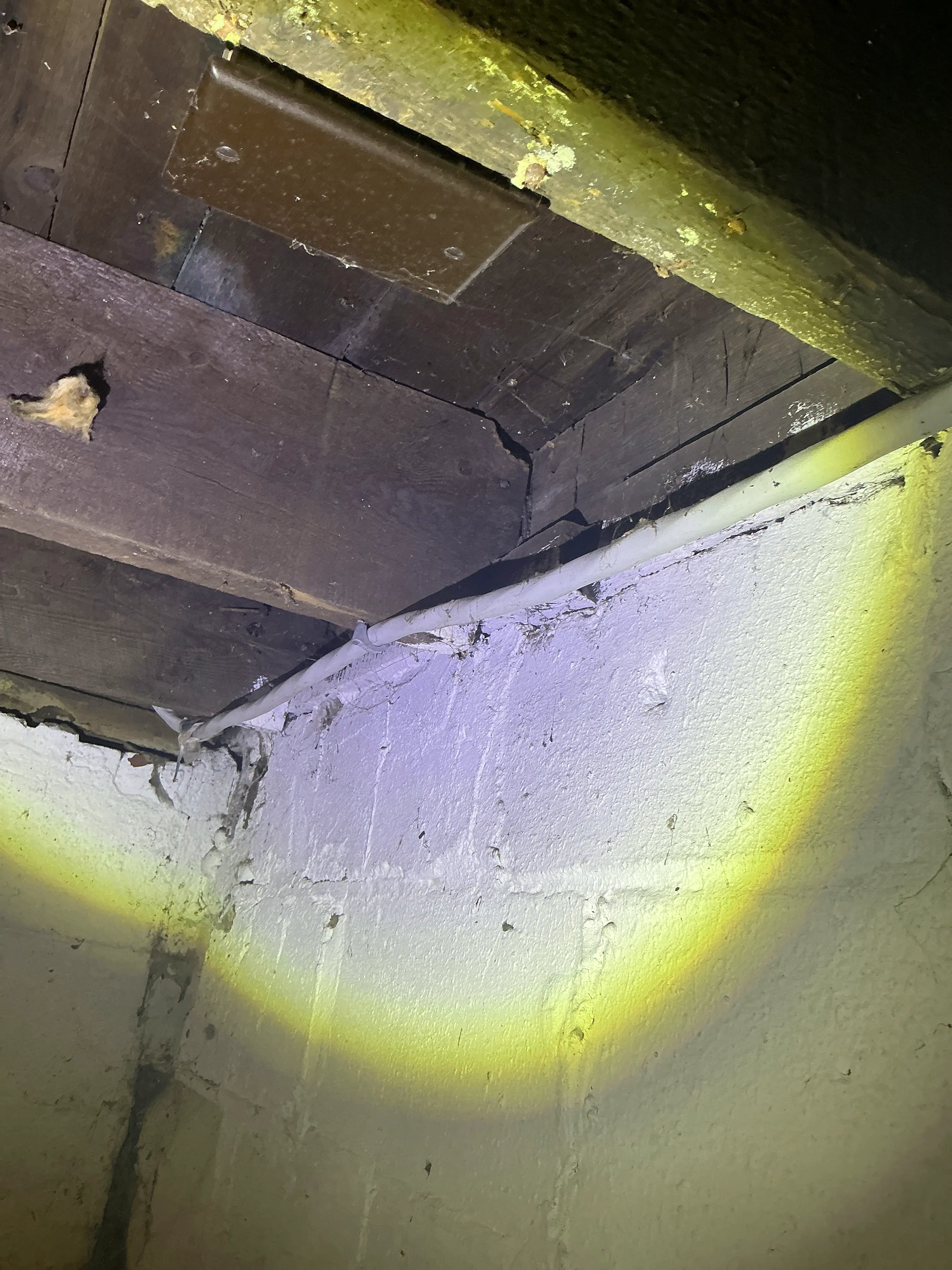 Basement floor joists and painted masonry foundation wall during mold inspection 2026-08-28