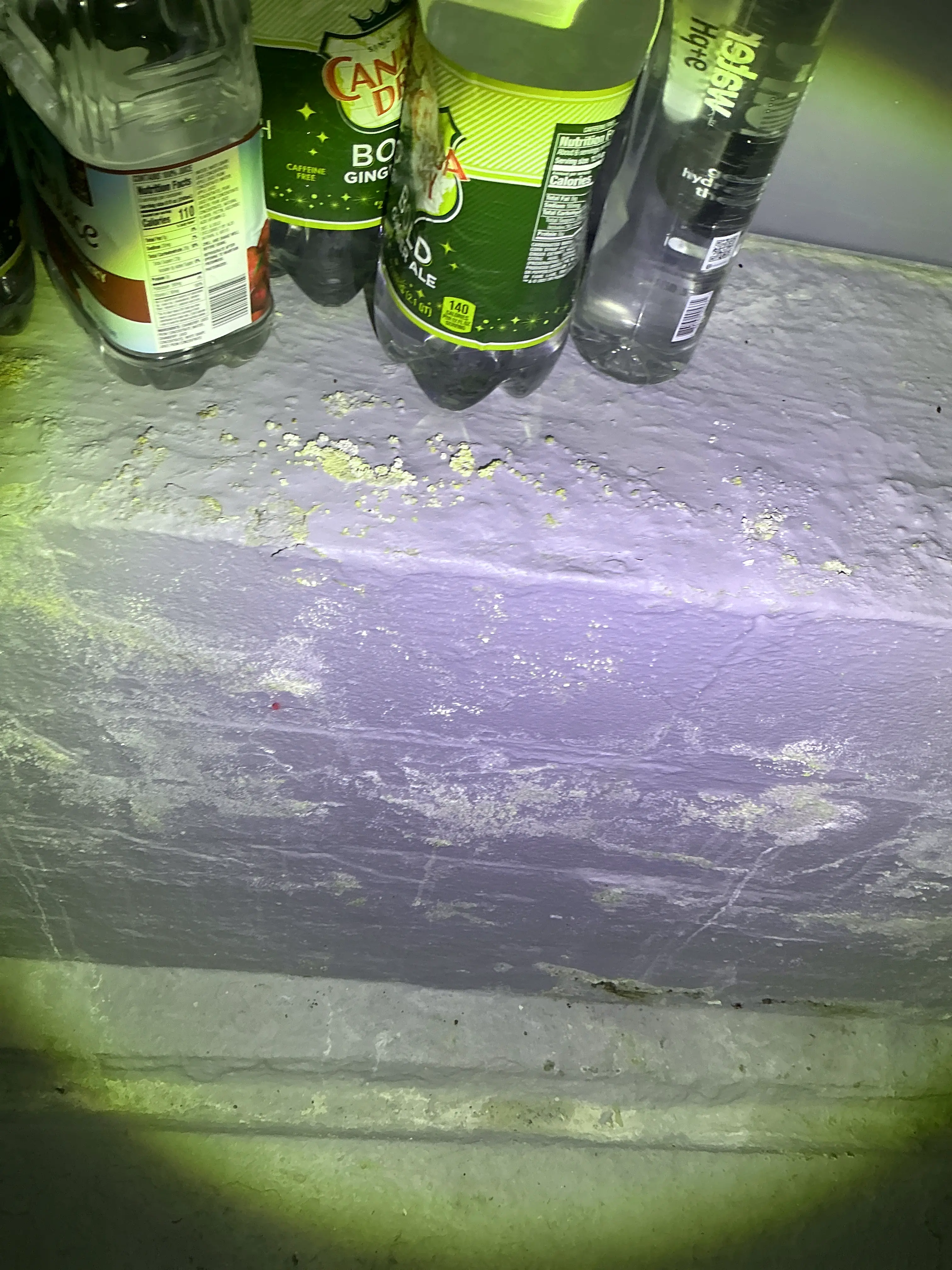 Efflorescence and moisture damage on painted basement foundation wall 2026-09-01
