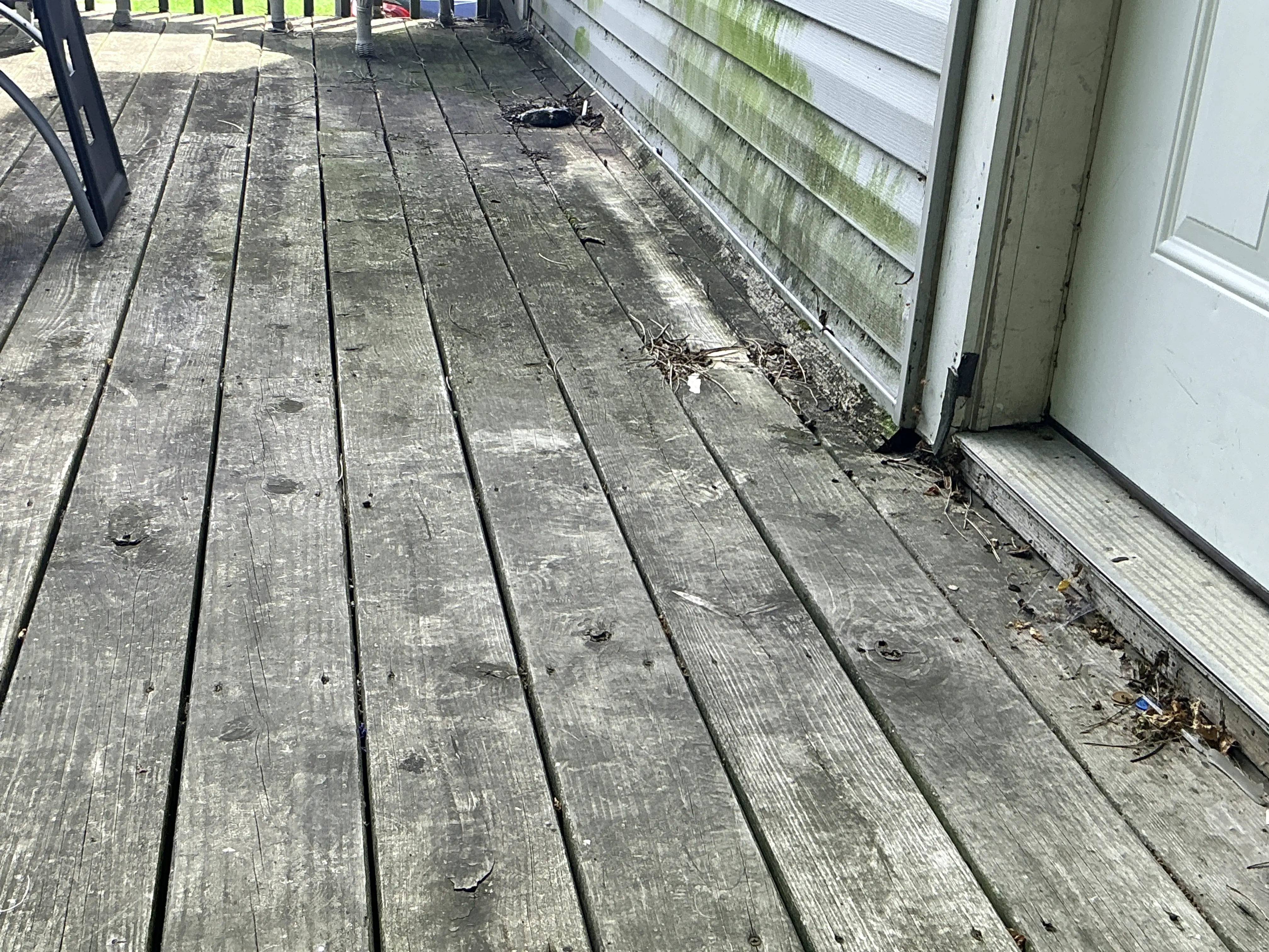 Weathered wooden deck boards with algae staining on lower vinyl siding 2026-07-05