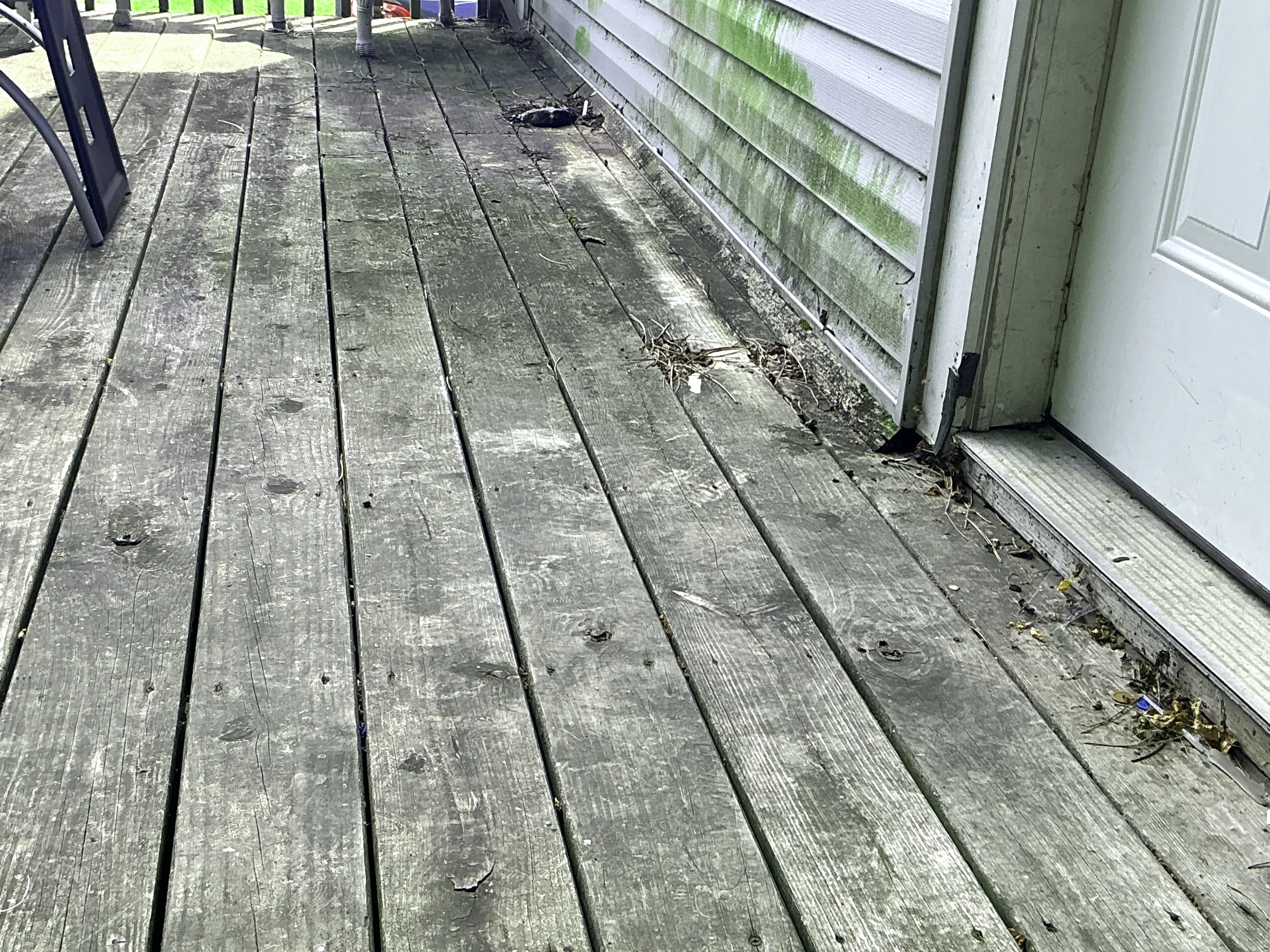 Weathered wooden deck boards with algae staining on lower vinyl siding 2026-07-11