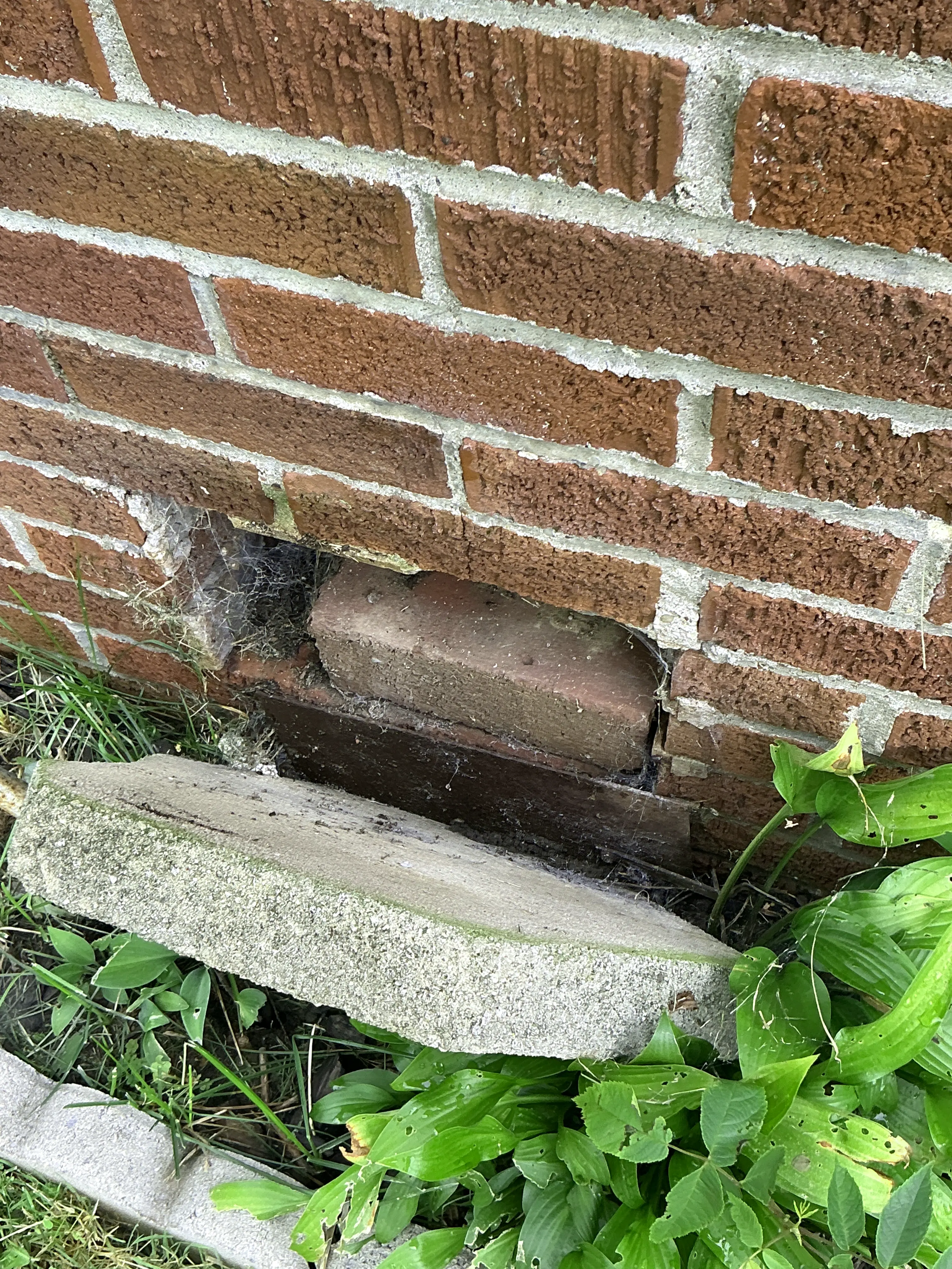 Missing brick in exterior masonry wall near ground level 2026-08-22