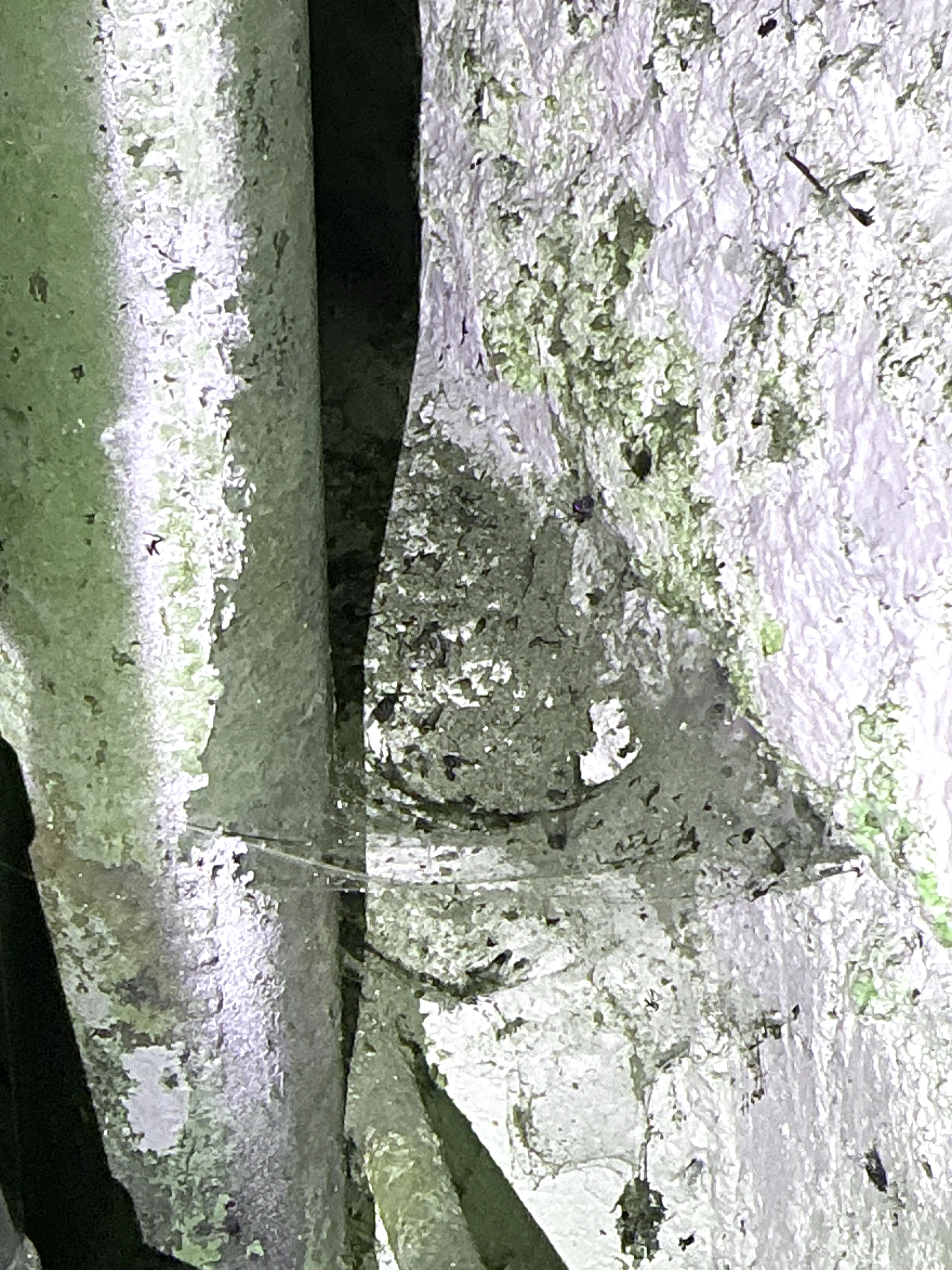 Heavy cobwebs and dust accumulation in a crawl space during lead inspection 2026-08-18