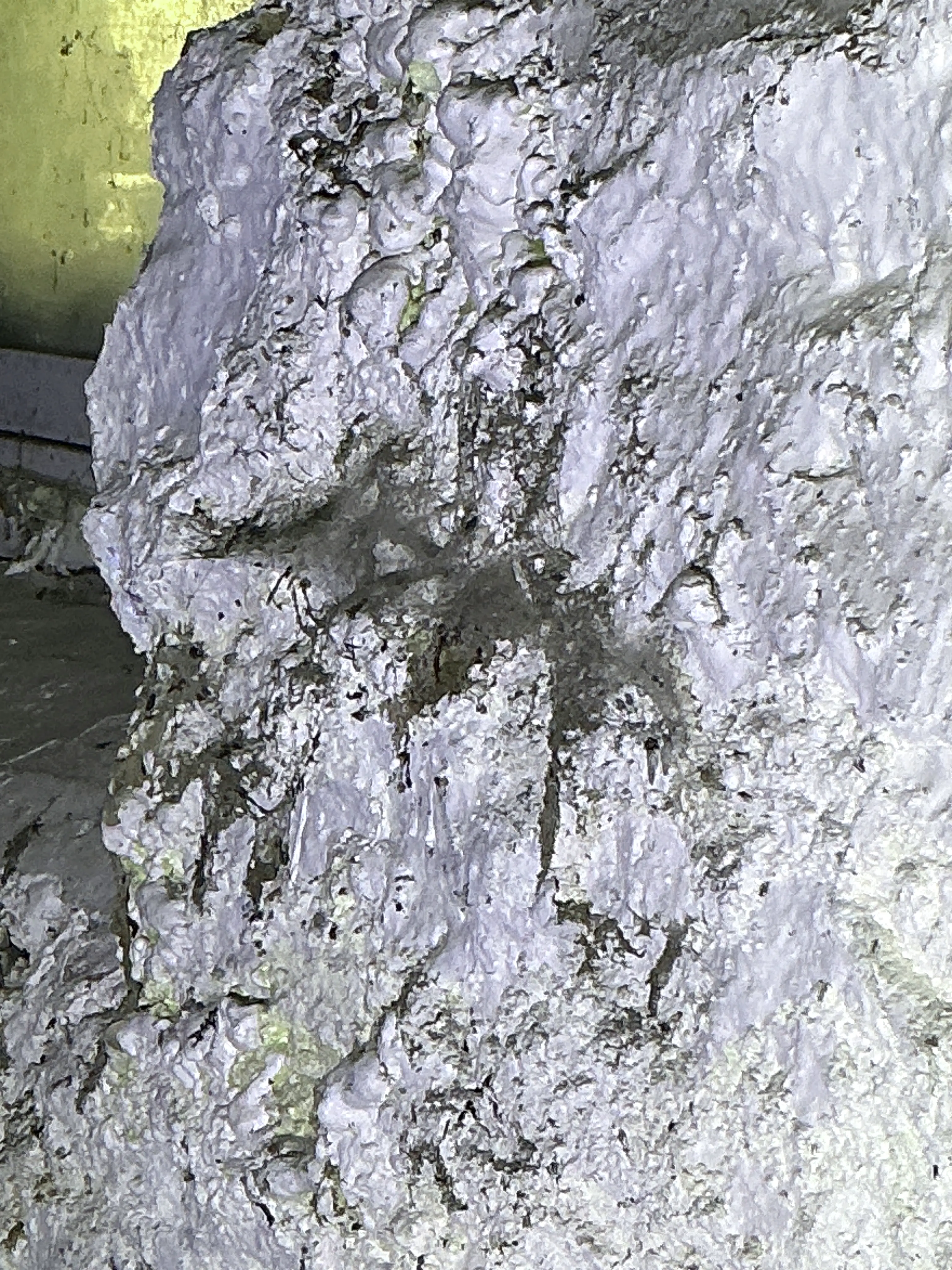 Heavy efflorescence and mineral deposits on concrete basement ceiling indicating moisture intrusion 2026-08-16