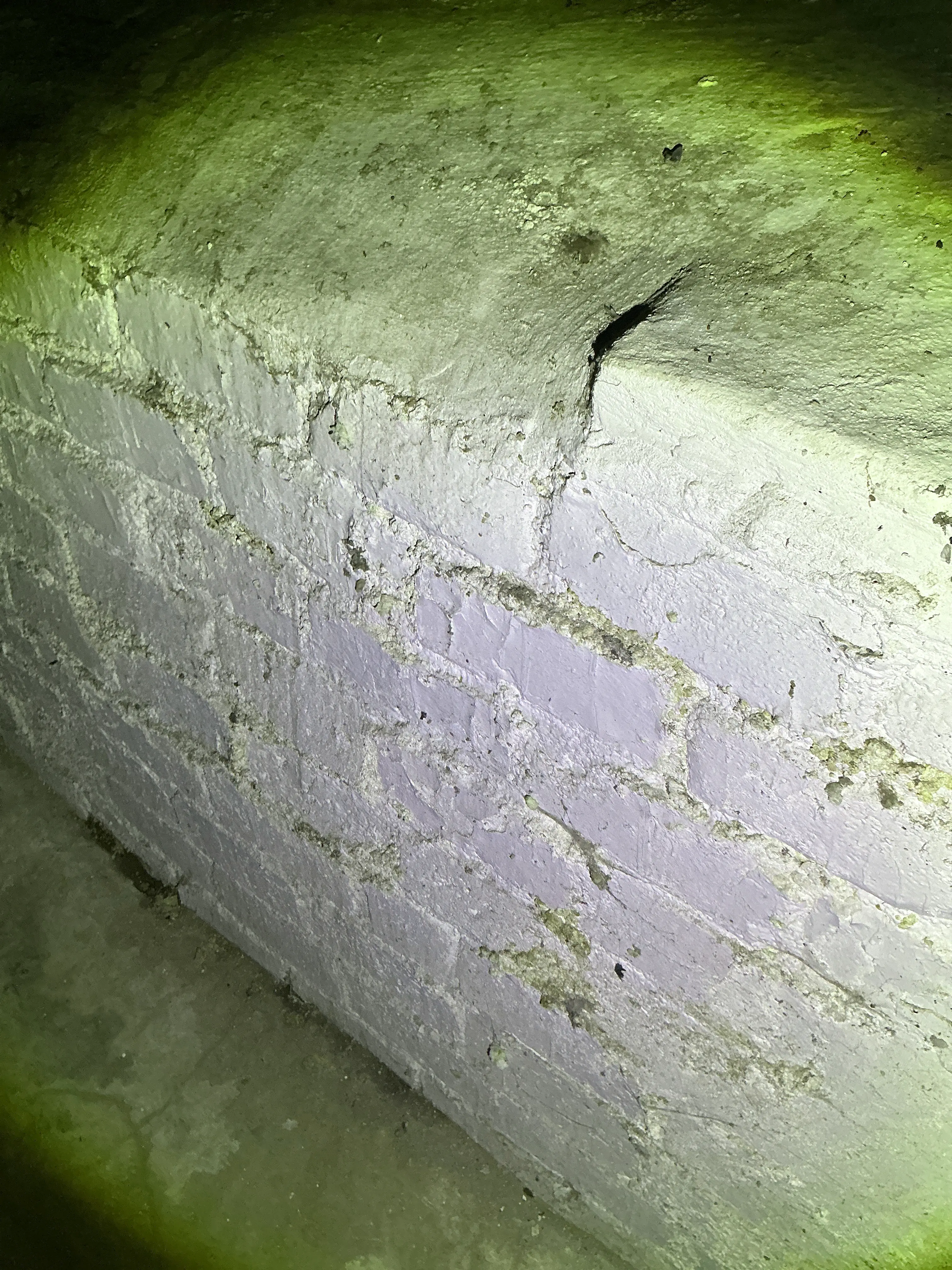 Cracked painted masonry foundation wall observed during basement inspection 2026-09-01