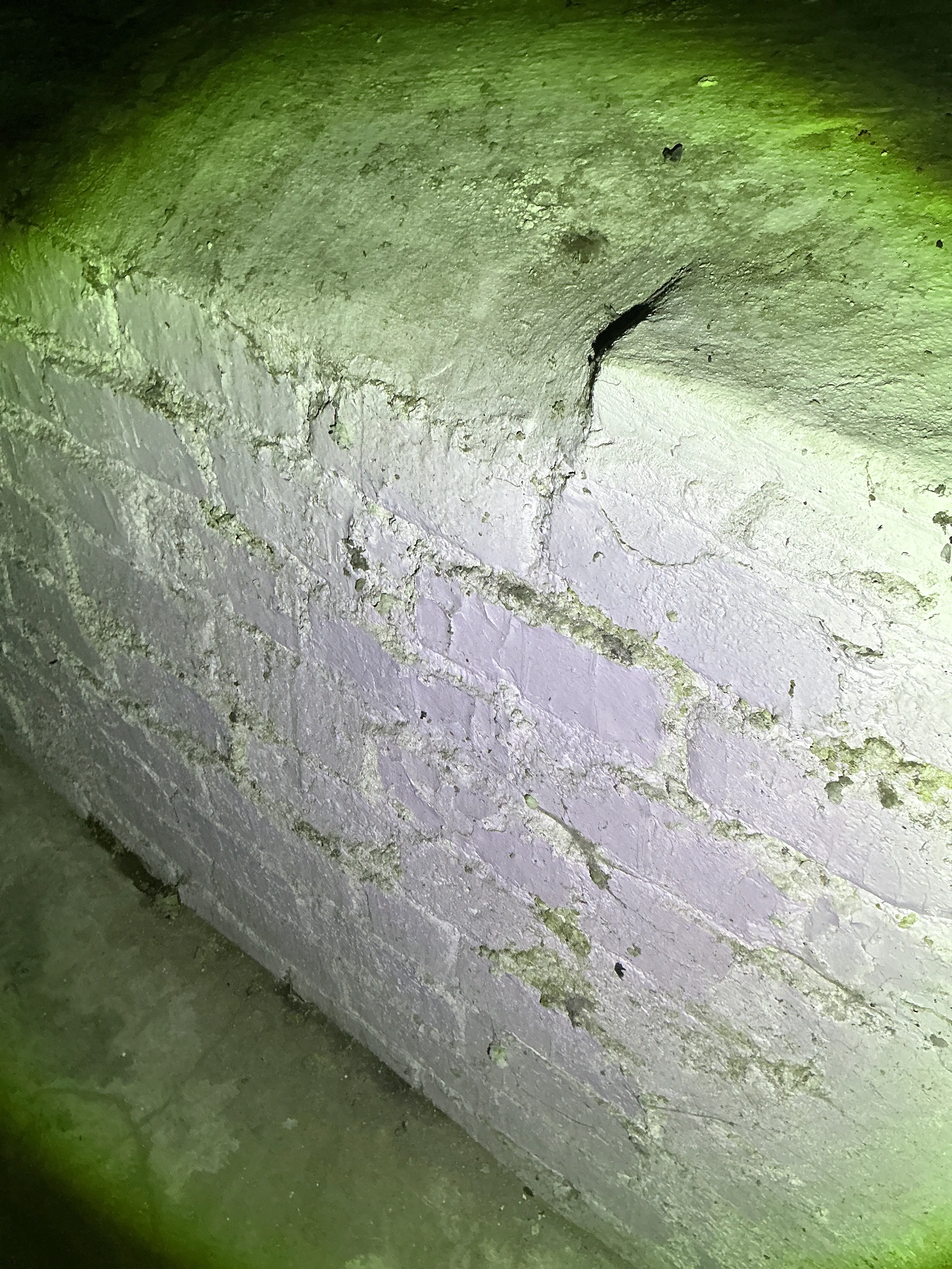 Cracked painted masonry foundation wall observed during basement inspection 2026-07-30
