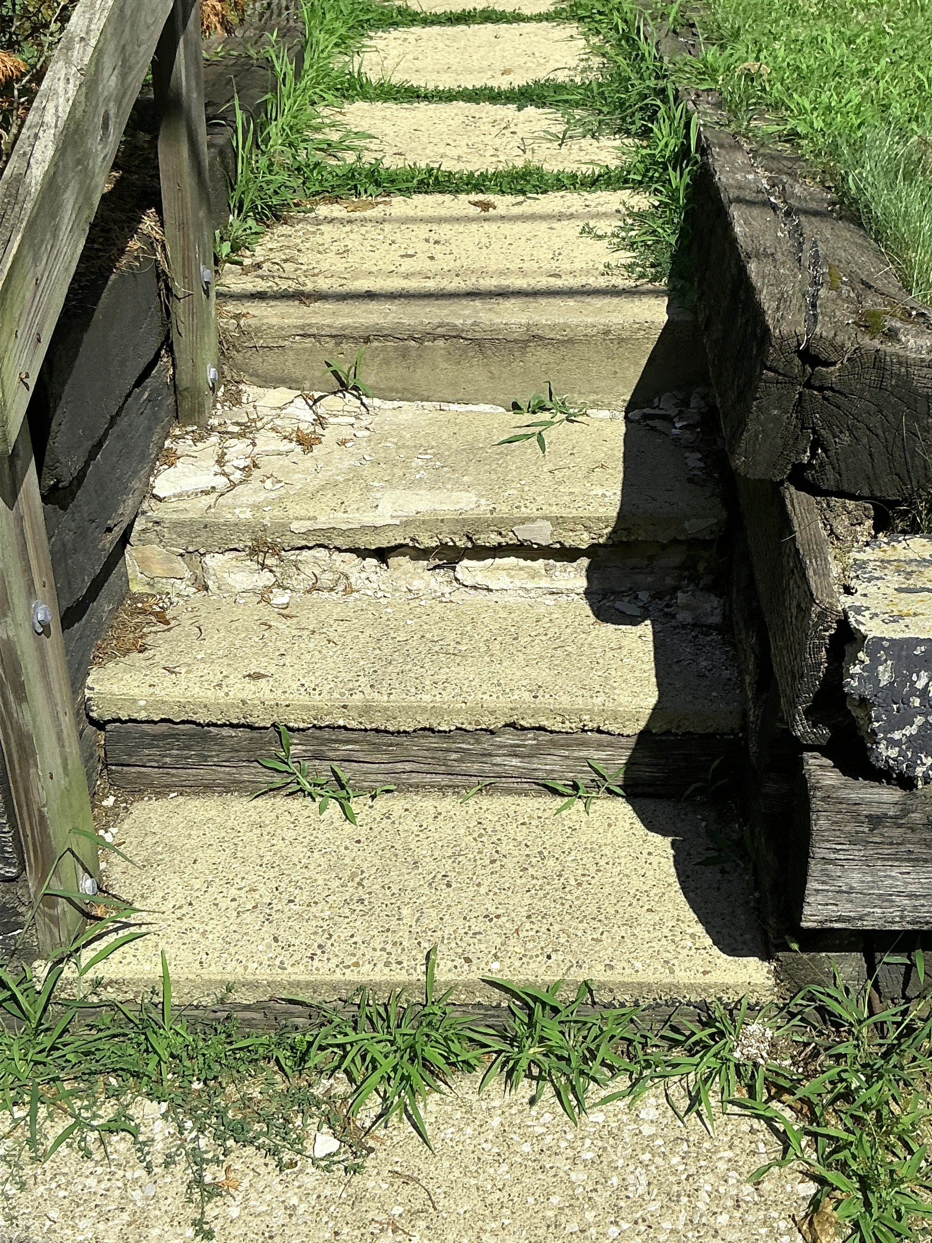 Deteriorated concrete and timber landscape steps with visible cracks and weed growth 2026-08-13