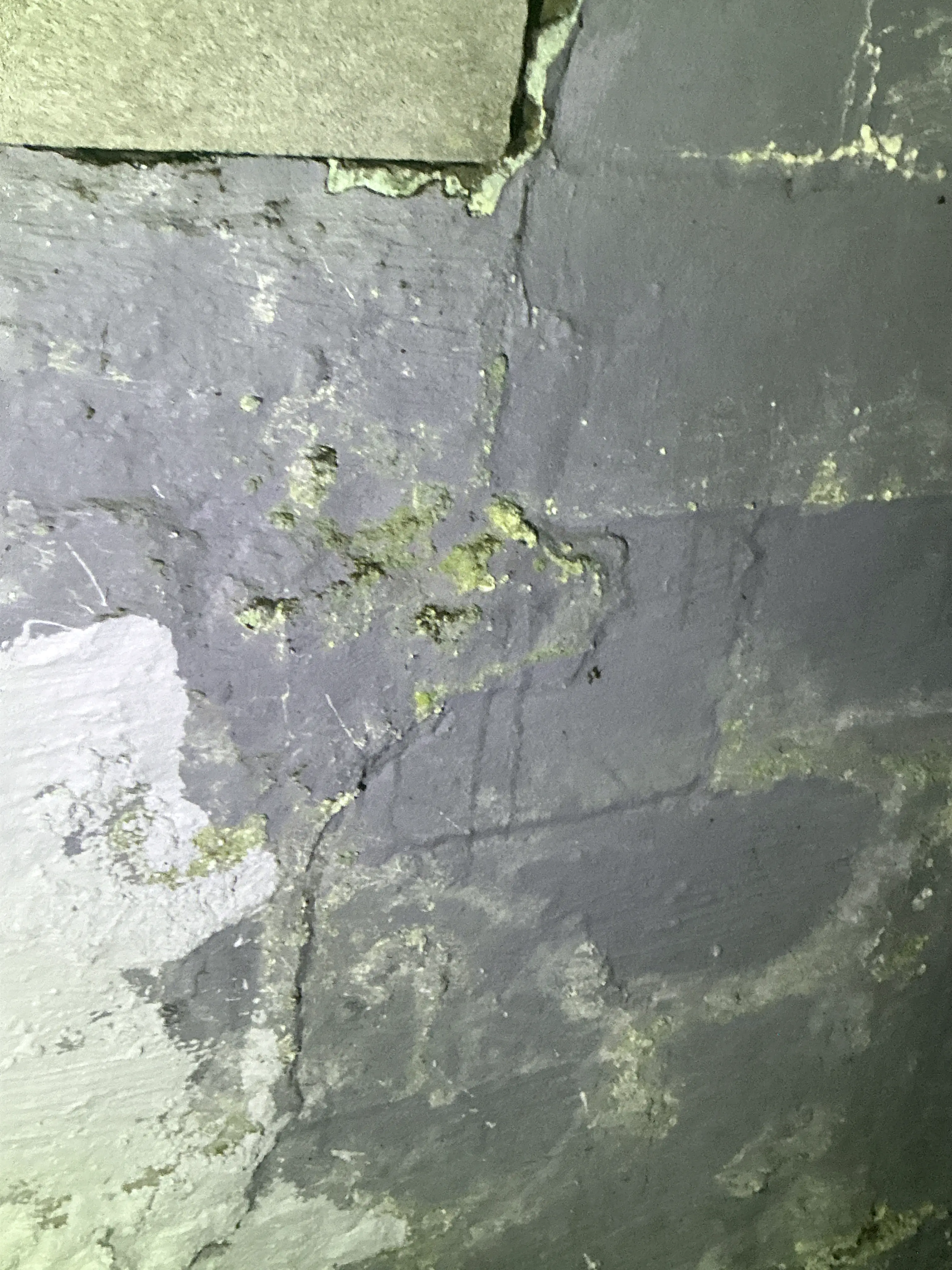 Deteriorated basement foundation wall with peeling paint and cracks 2026-07-28