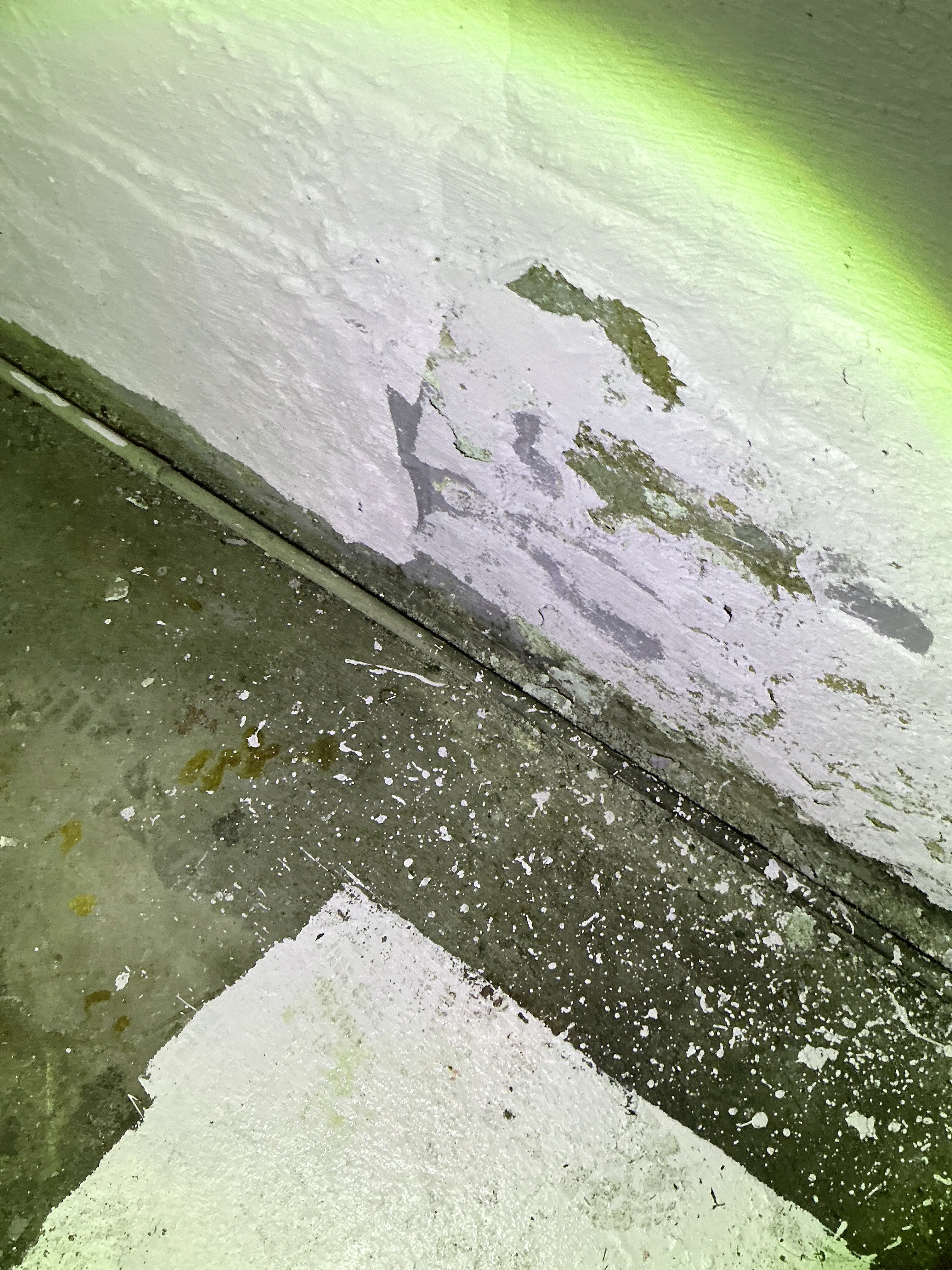 Peeling paint on lower wall near concrete floor during home inspection 2026-07-15