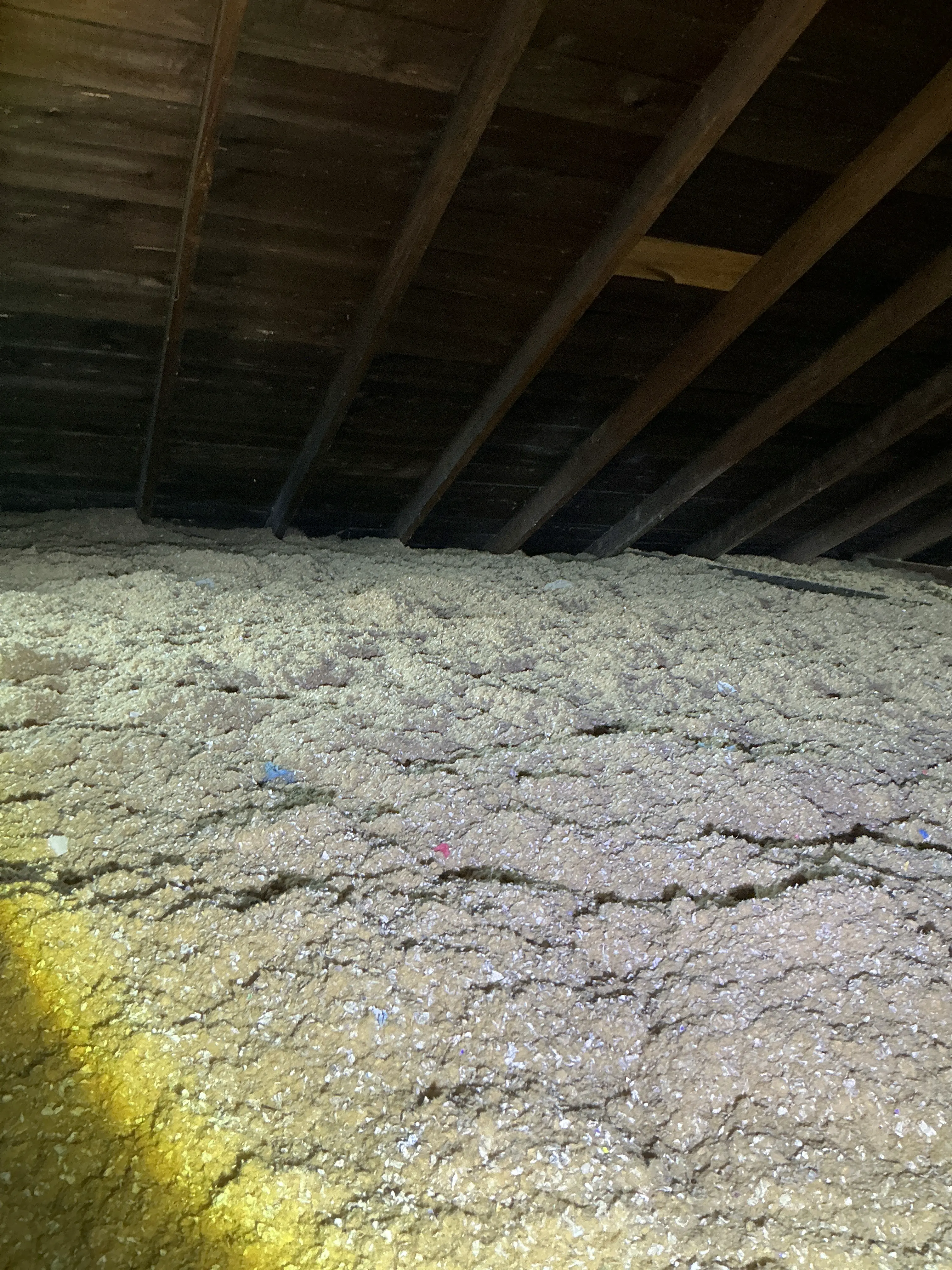 Blown-in cellulose attic insulation shown next to exposed wooden roof framing during lead test. 2026-08-11