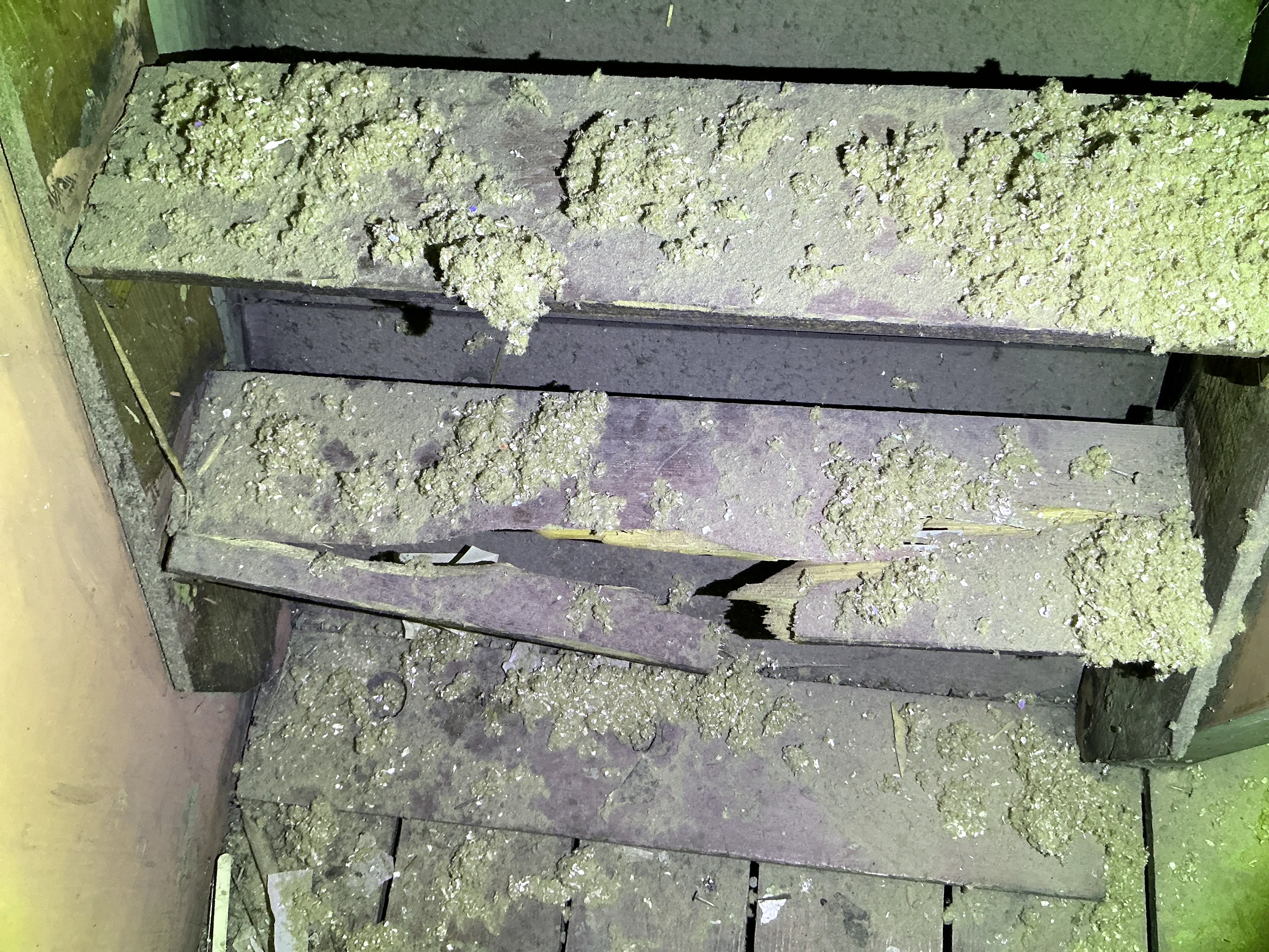 Broken wooden stair tread covered in insulation debris found during general inspection 2026-07-23