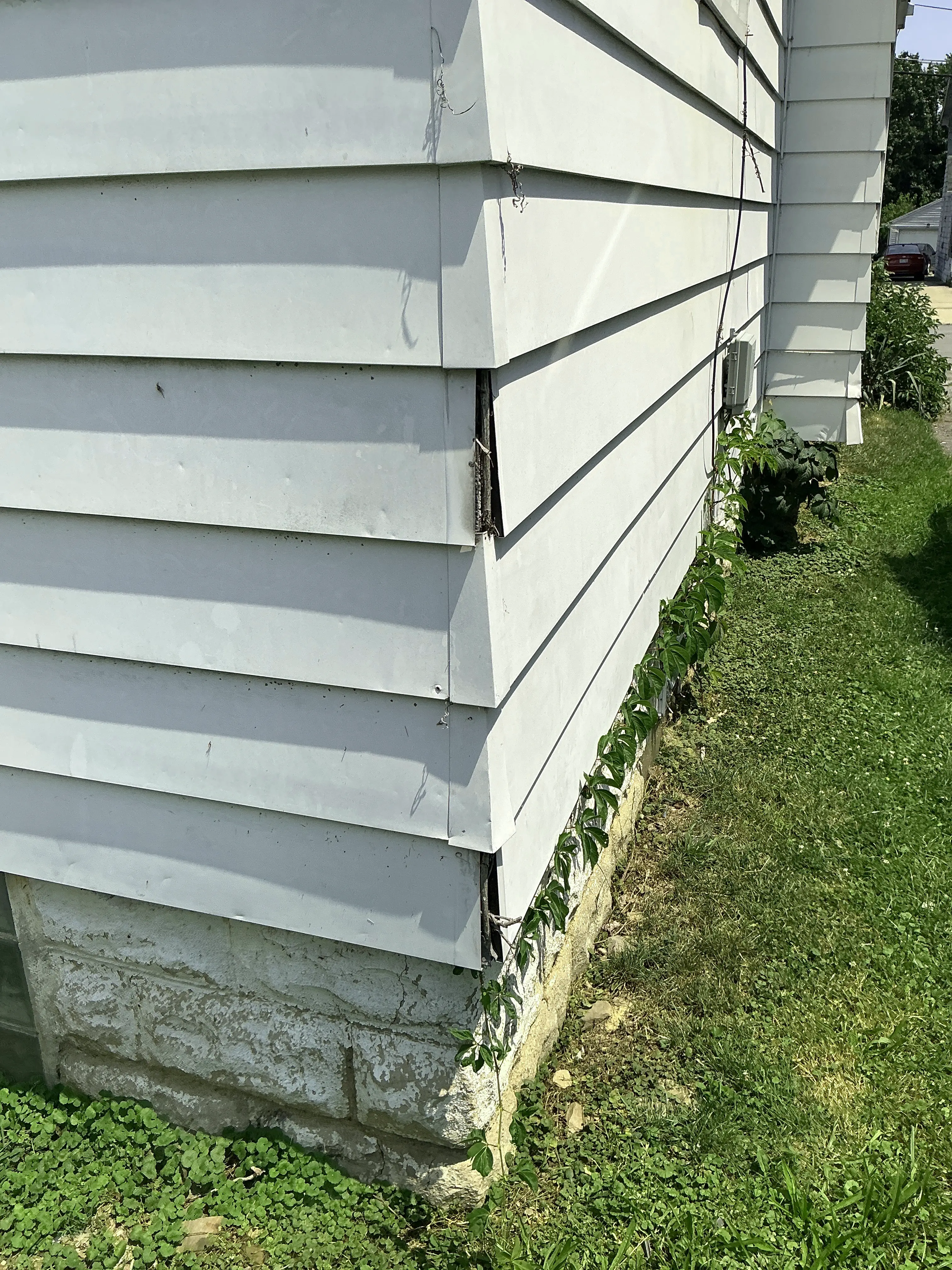 Damaged vinyl siding with gaps and vine growth on exterior wall 2026-08-22
