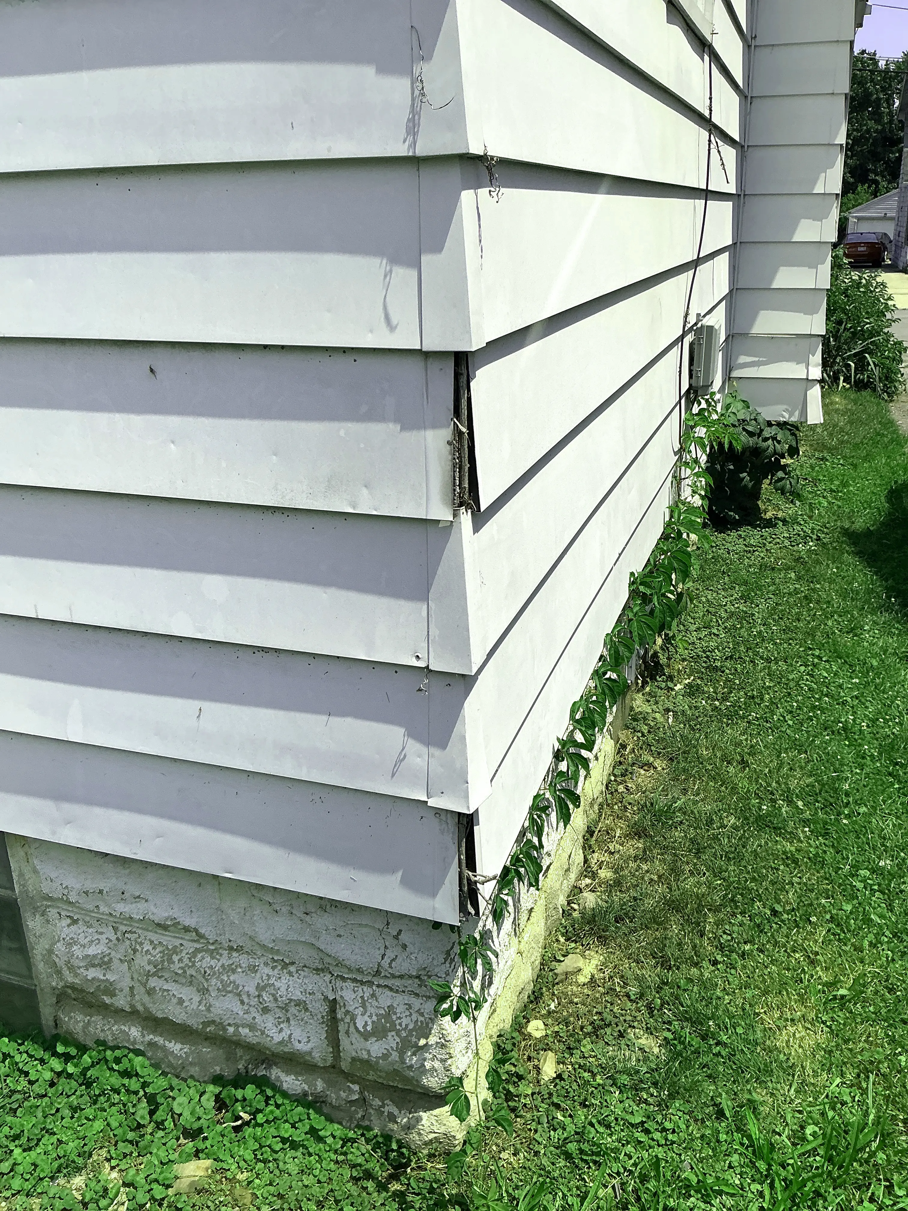 Damaged vinyl siding with gaps and vine growth on exterior wall 2026-07-22