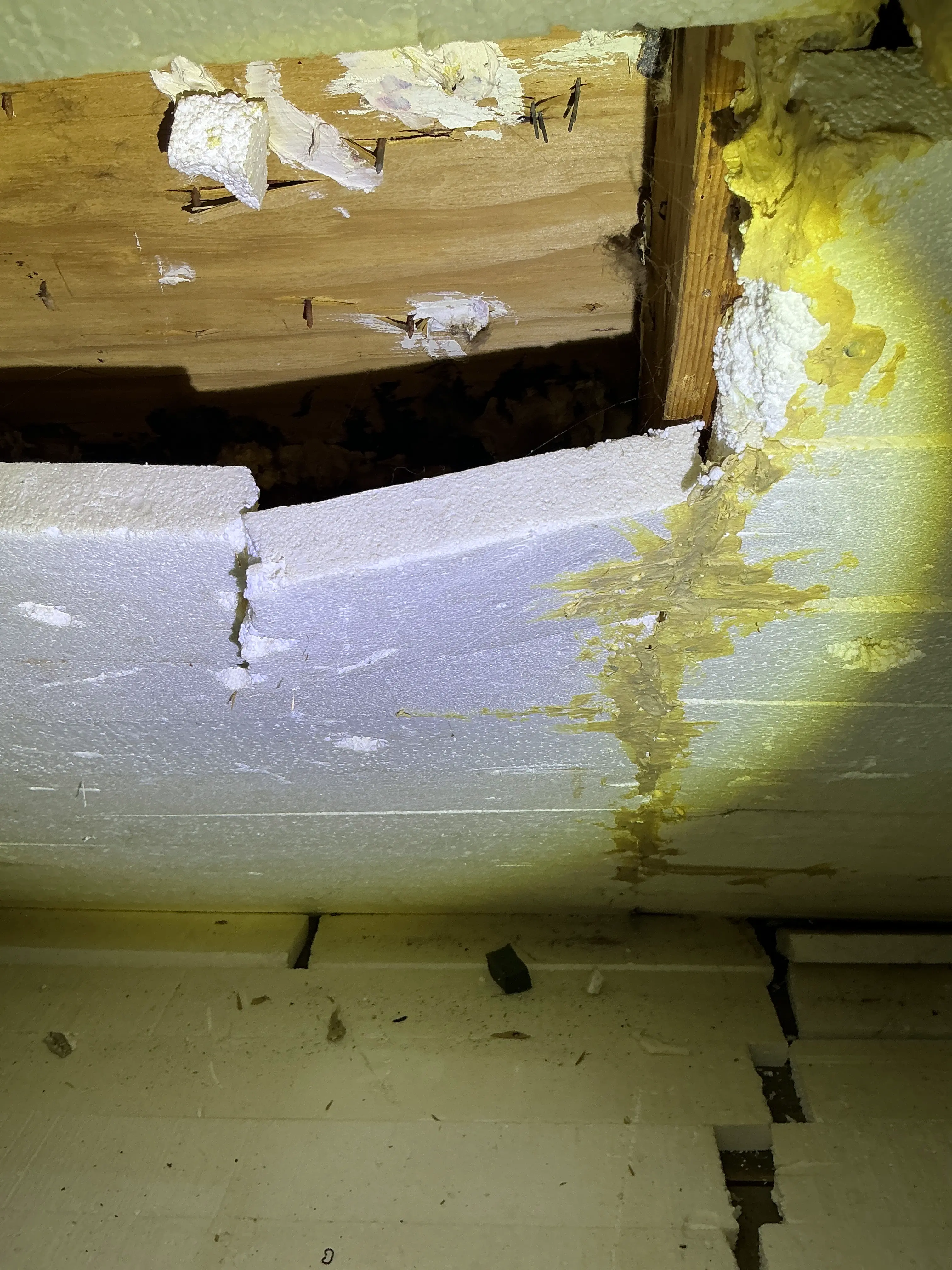 Damaged rigid foam board insulation detaching from wall framing inside a structure 2026-08-17