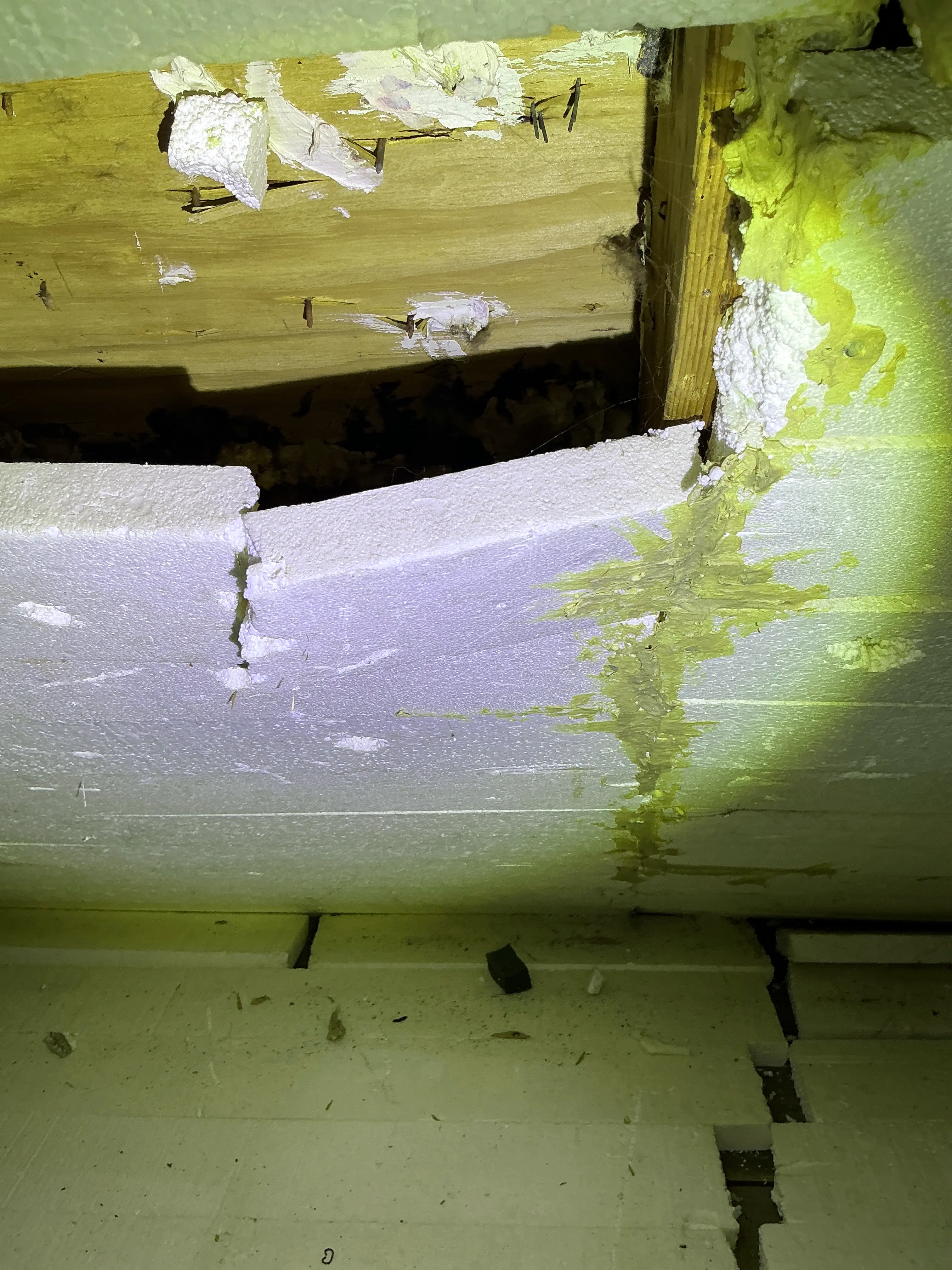 Damaged rigid foam board insulation detaching from wall framing inside a structure 2026-07-08
