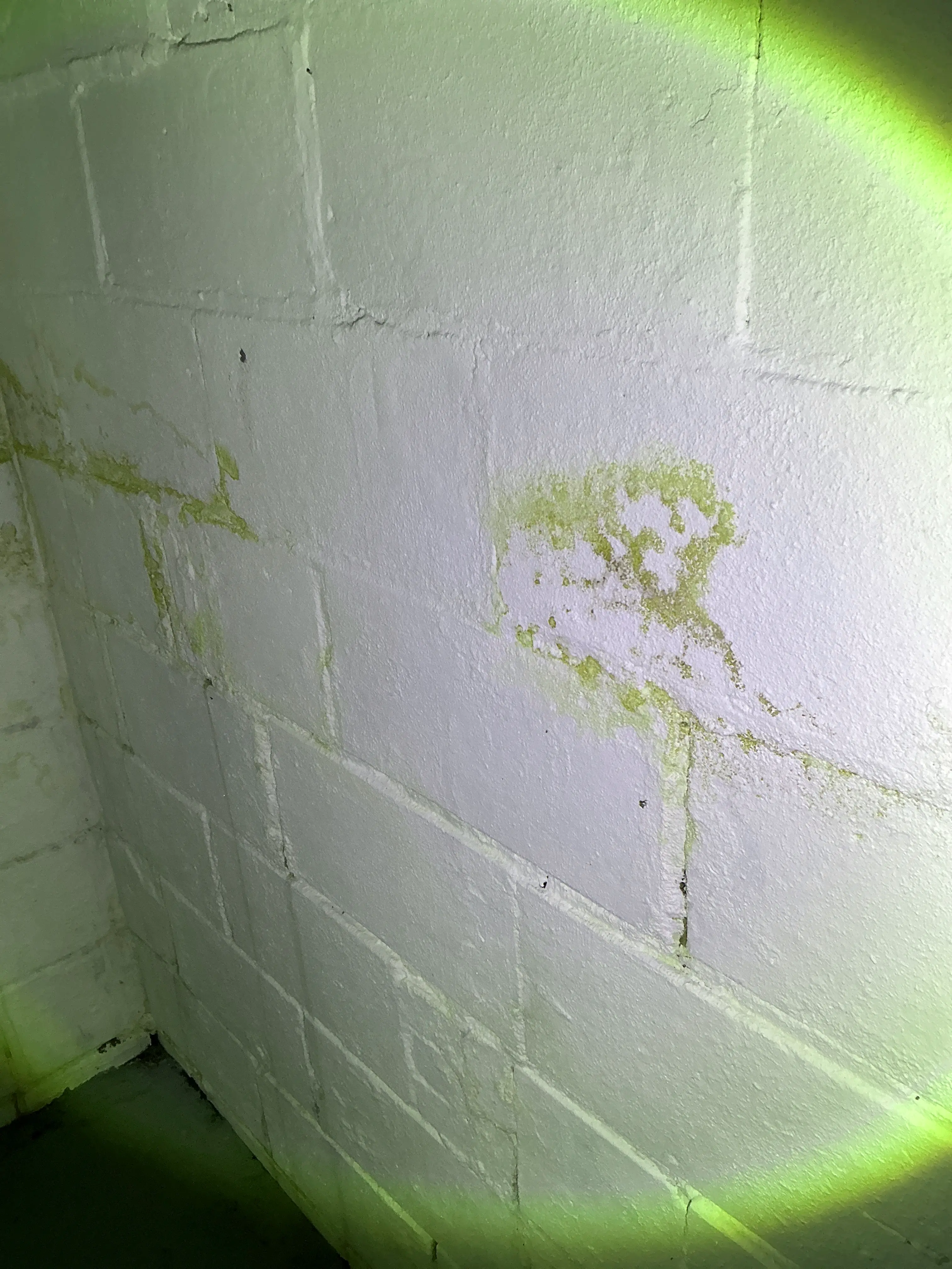 Ceiling water stain indicating moisture damage during lead test 2026-08-10