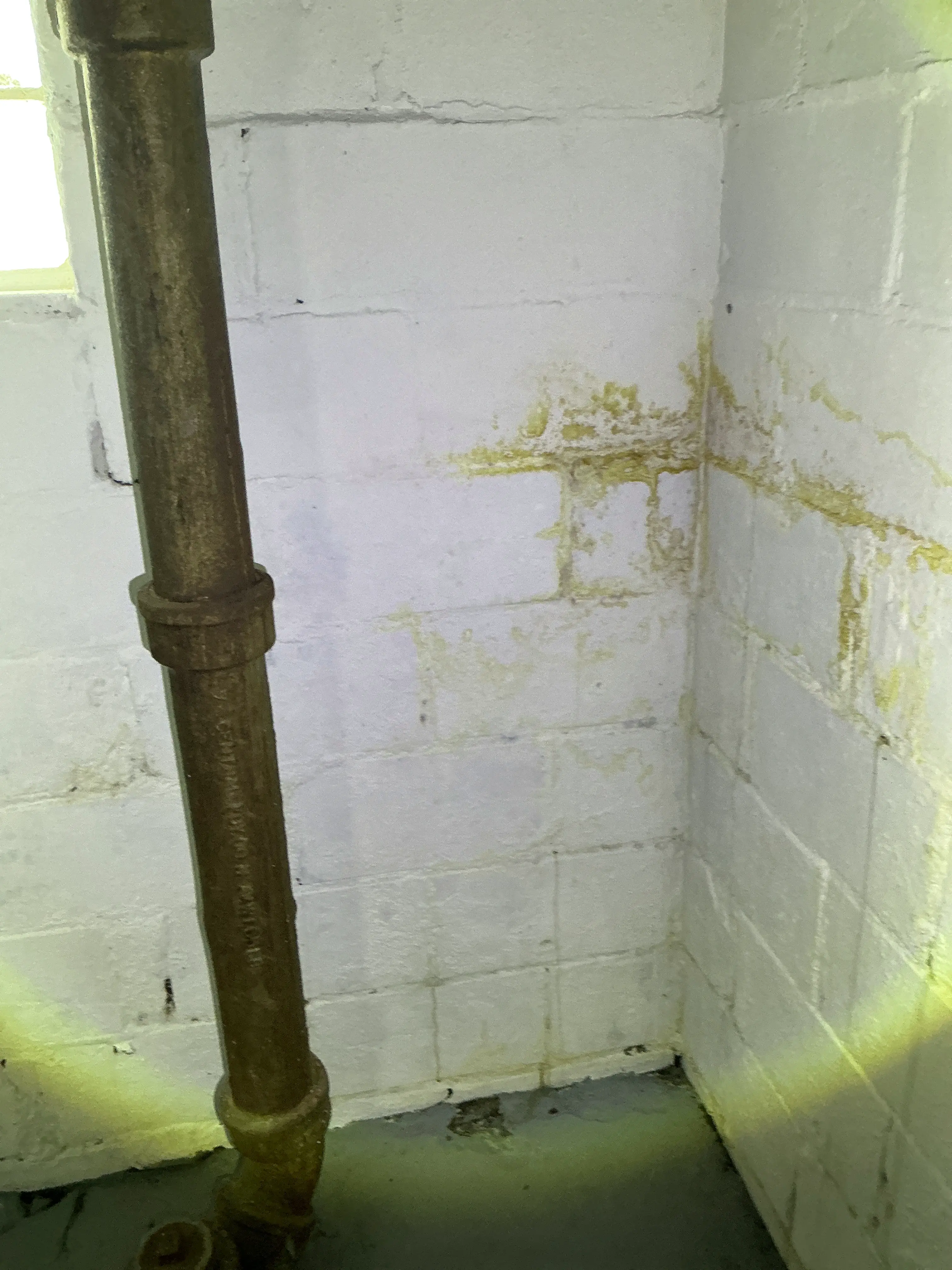 Water damage and staining on painted concrete block wall near basement pipe 2026-07-29