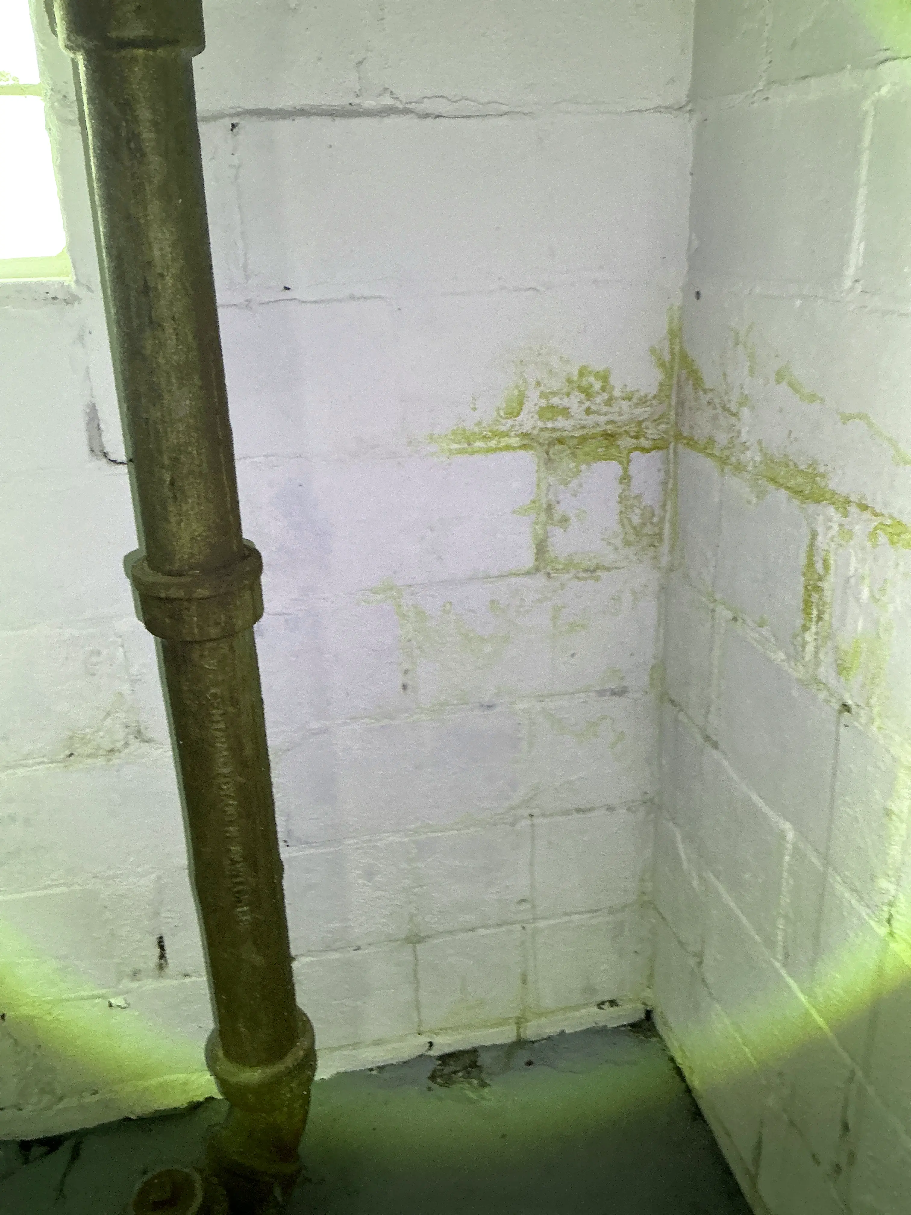 Water damage and staining on painted concrete block wall near basement pipe 2026-08-22