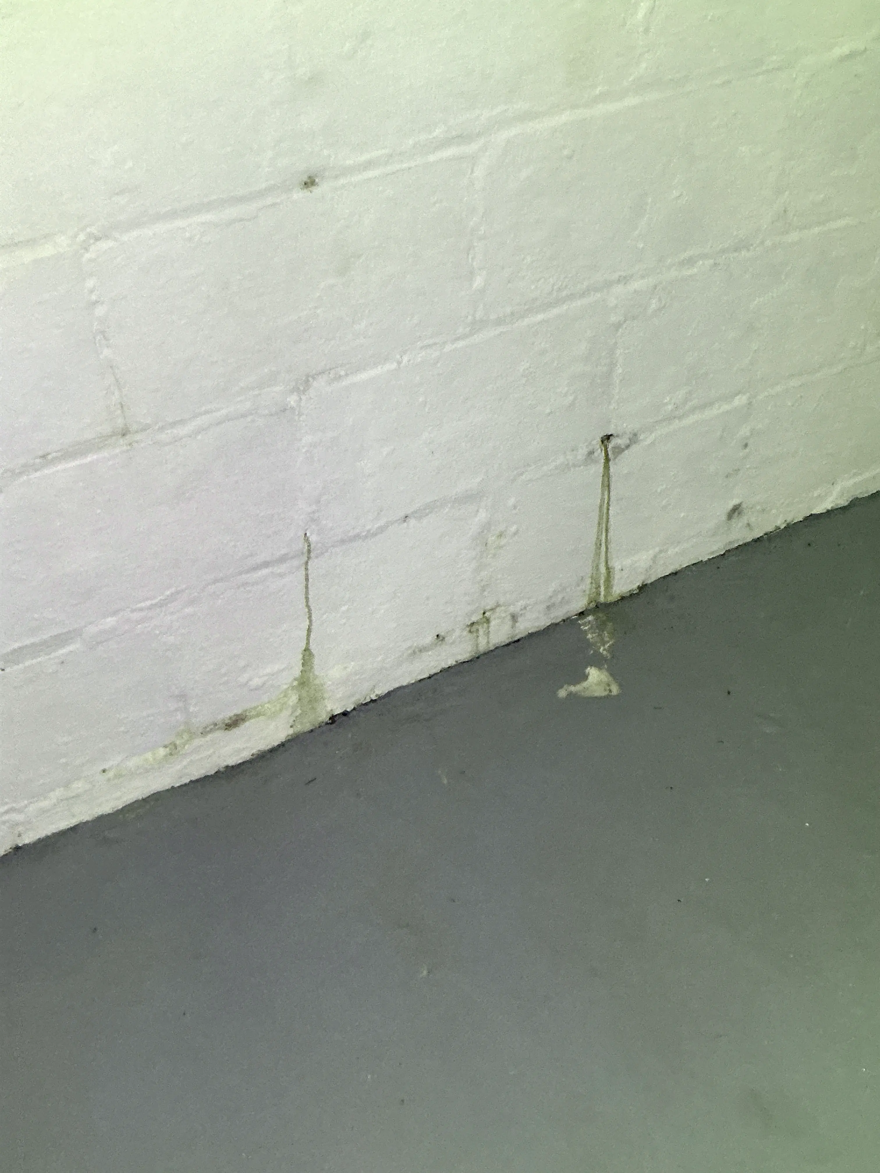 Water staining and moisture seepage along wall seam during a mold testing 2026-08-12