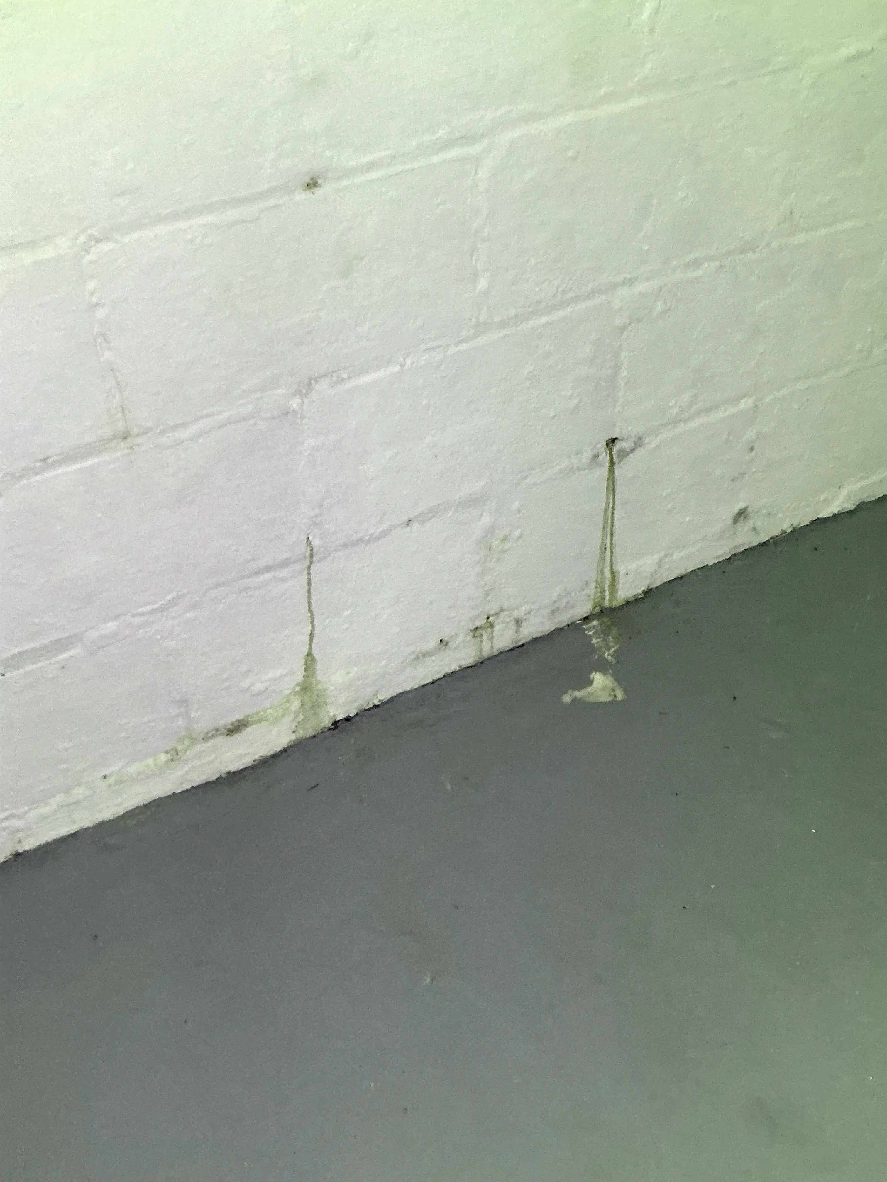 Water staining and moisture seepage along wall seam during a mold testing 2026-07-26