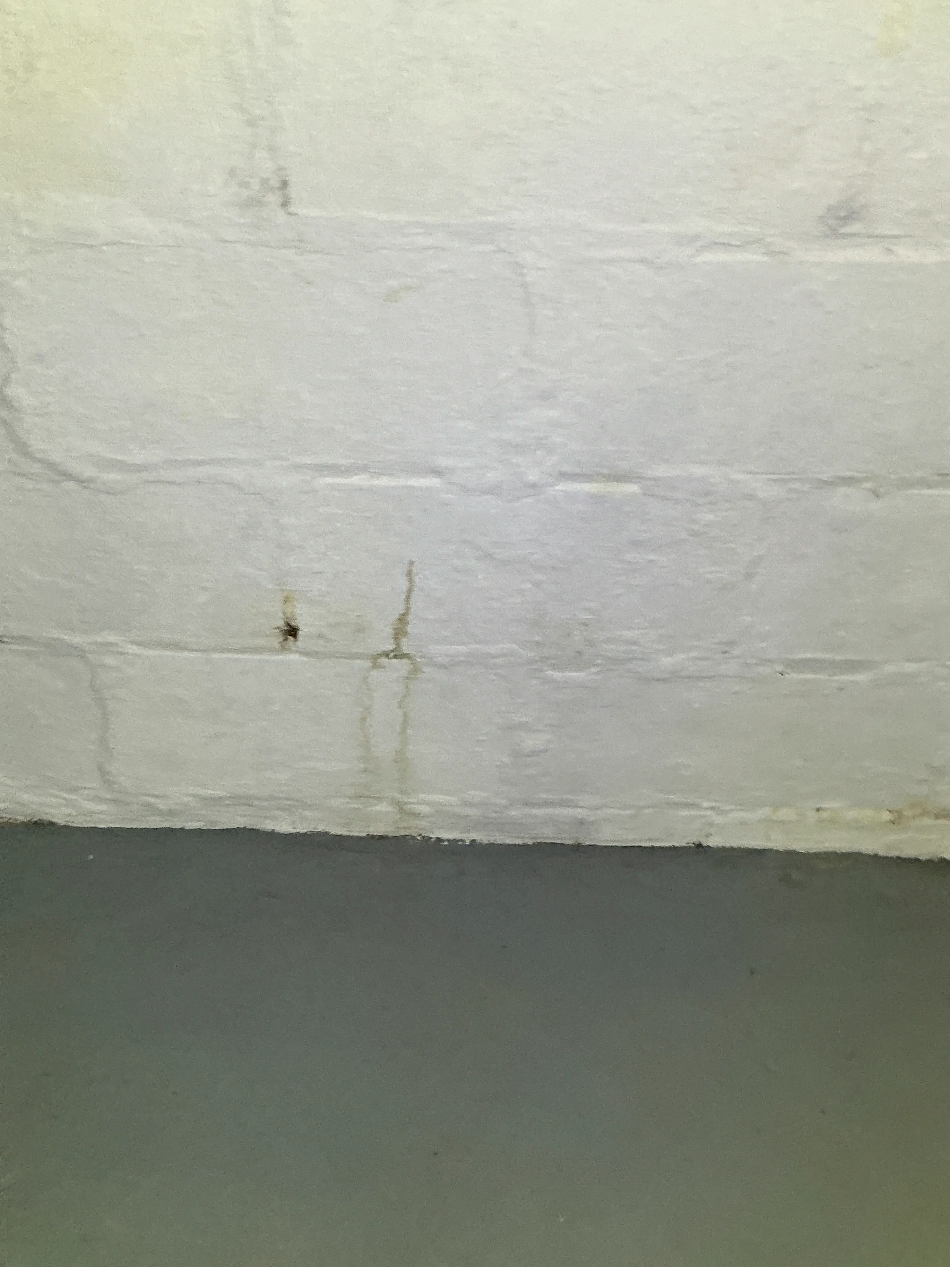Water staining and moisture damage on a painted wall during a home inspection 2026-08-22