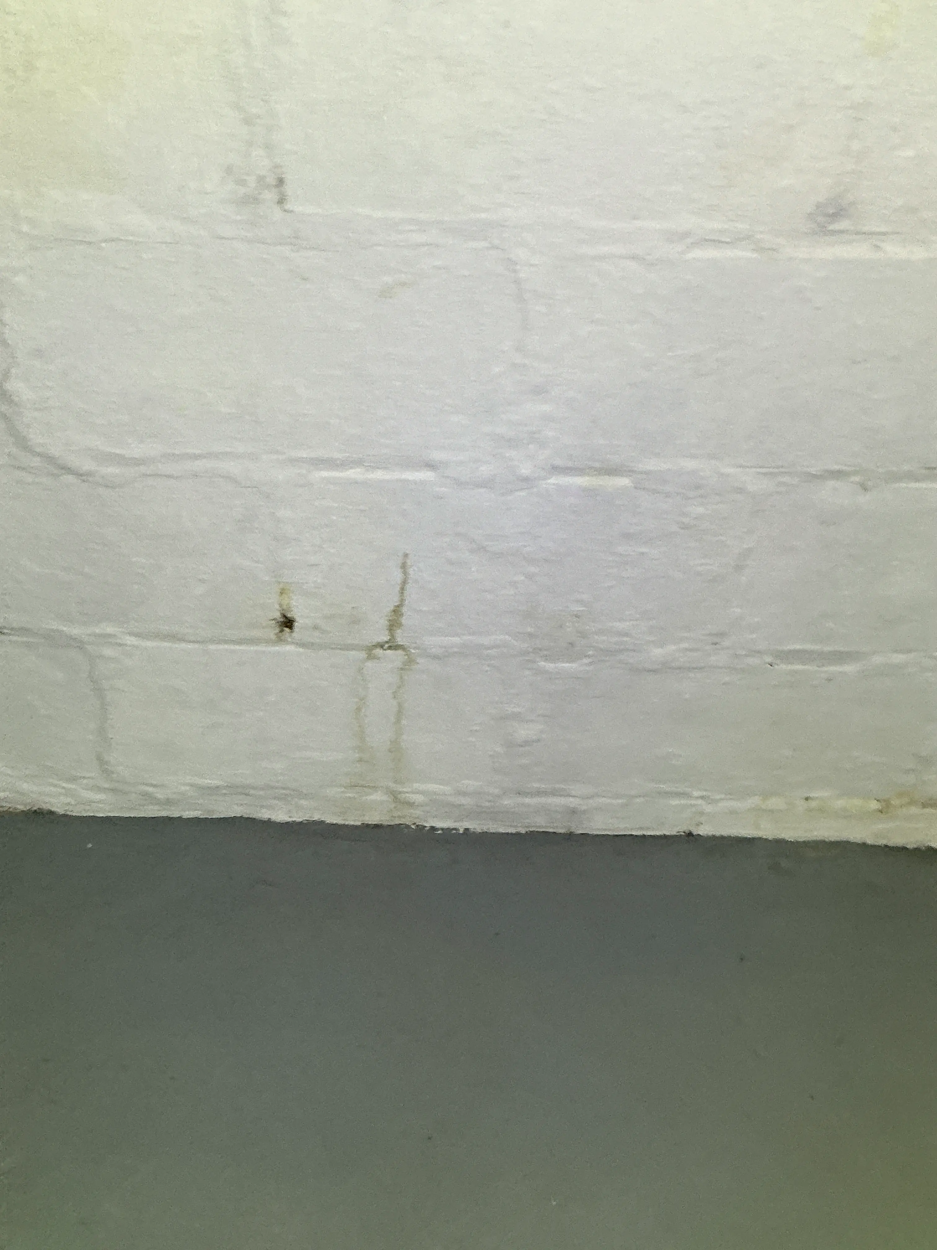 Water staining and moisture damage on a painted wall during a home inspection 2026-07-25