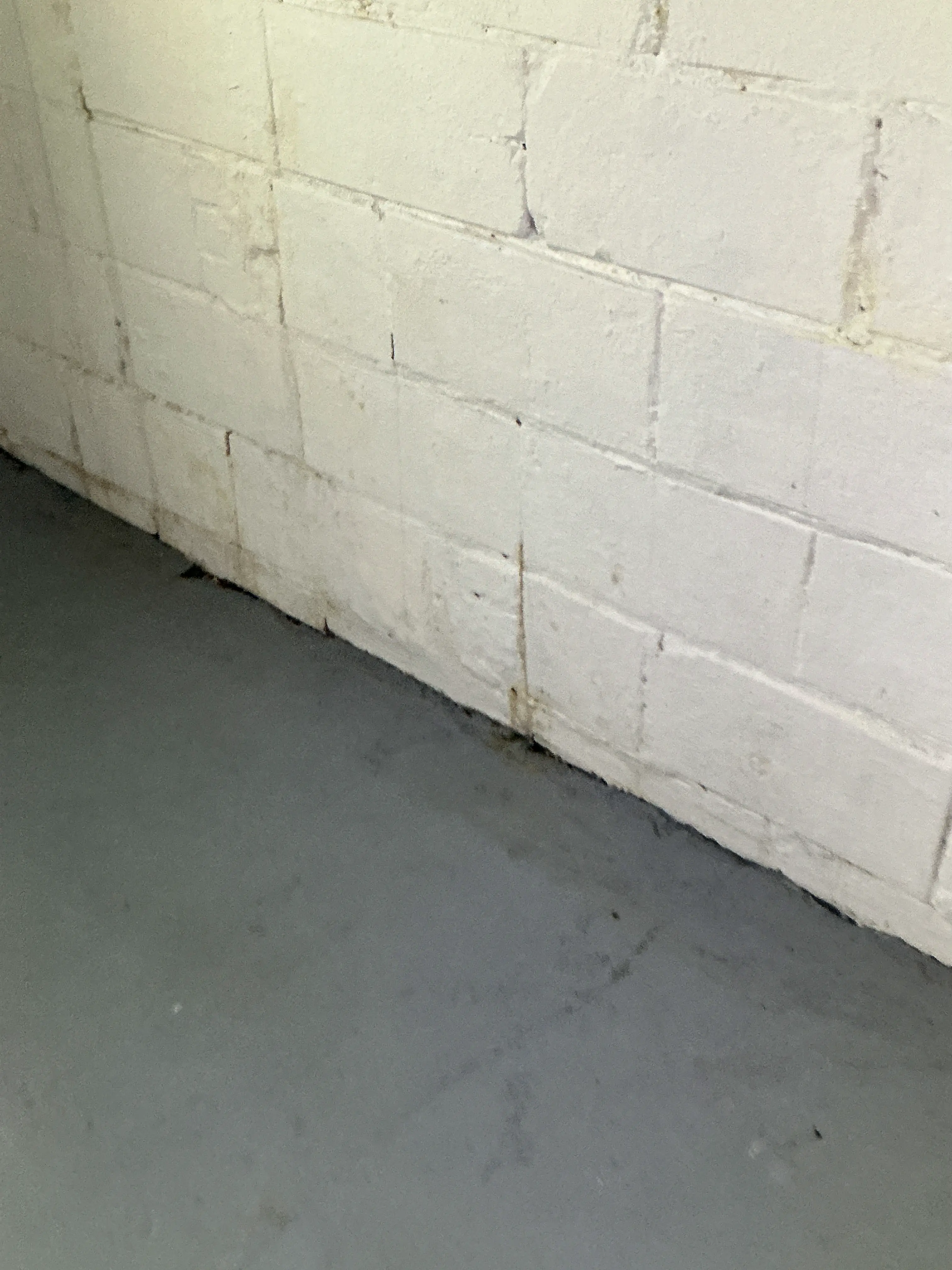 Water stains on painted concrete ceiling blocks near wall intersection 2026-07-13