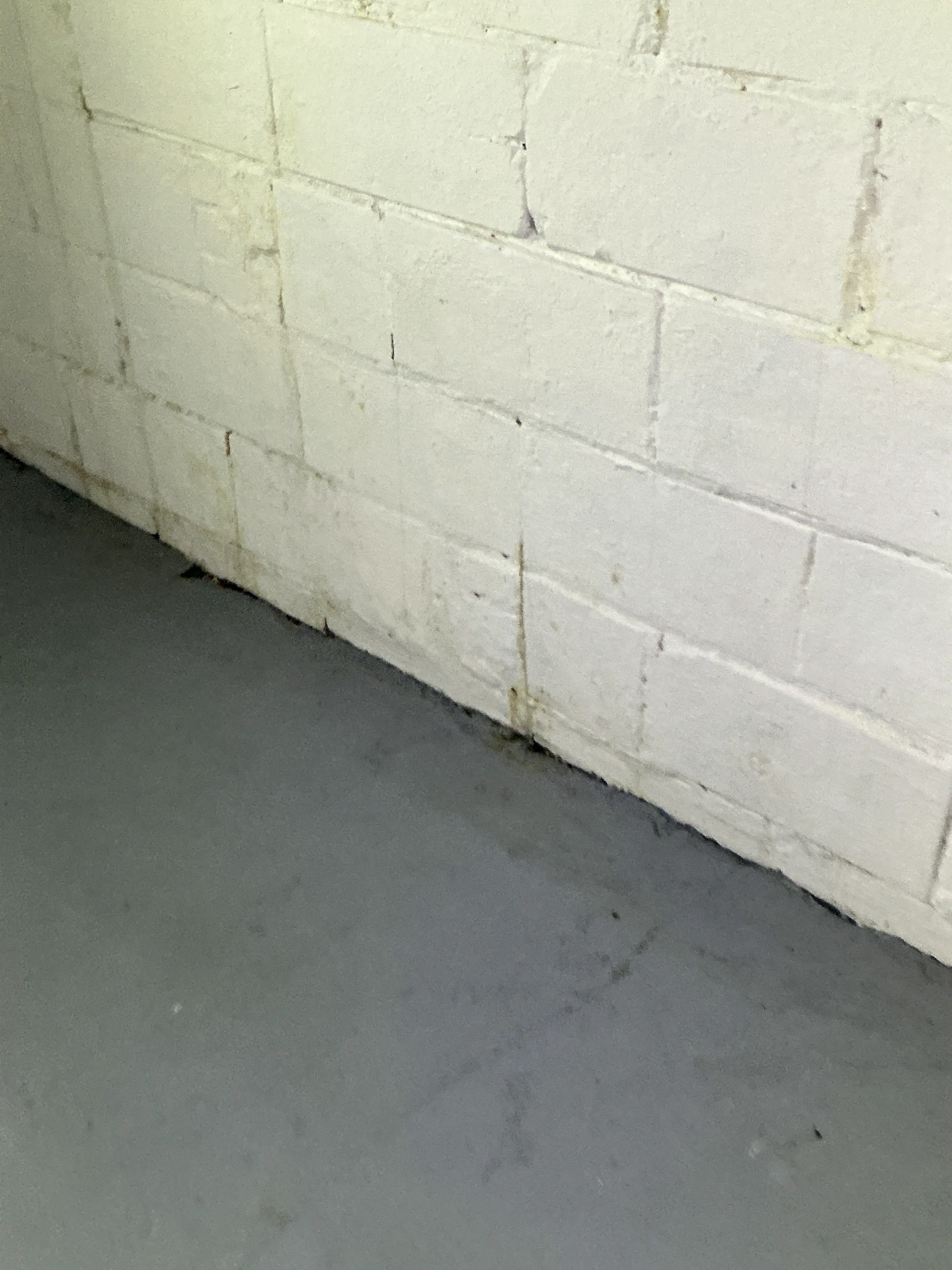 Water stains on painted concrete ceiling blocks near wall intersection 2026-07-26