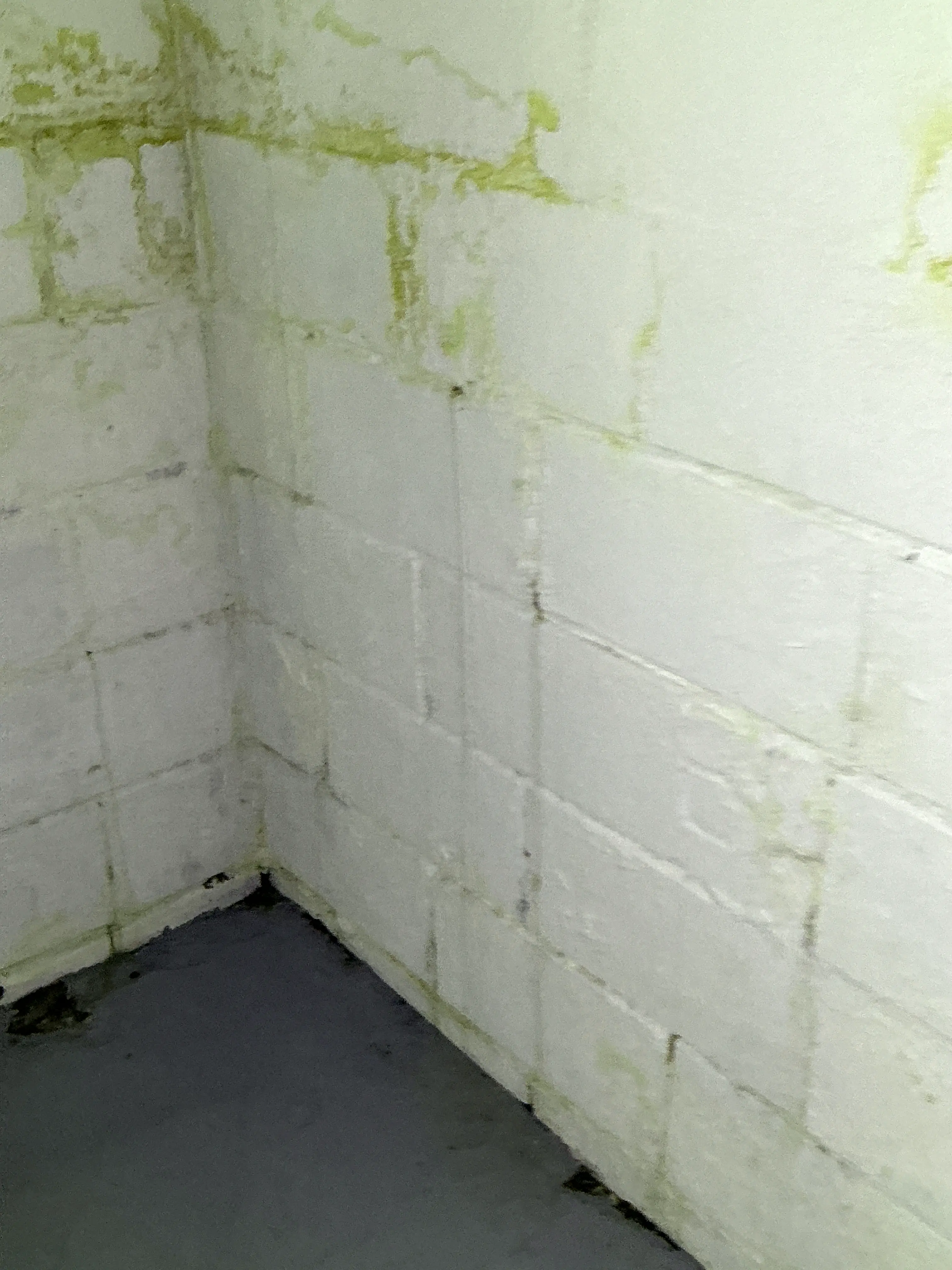 Yellow water stains and moisture damage on white ceiling tiles during home inspection 2026-08-25