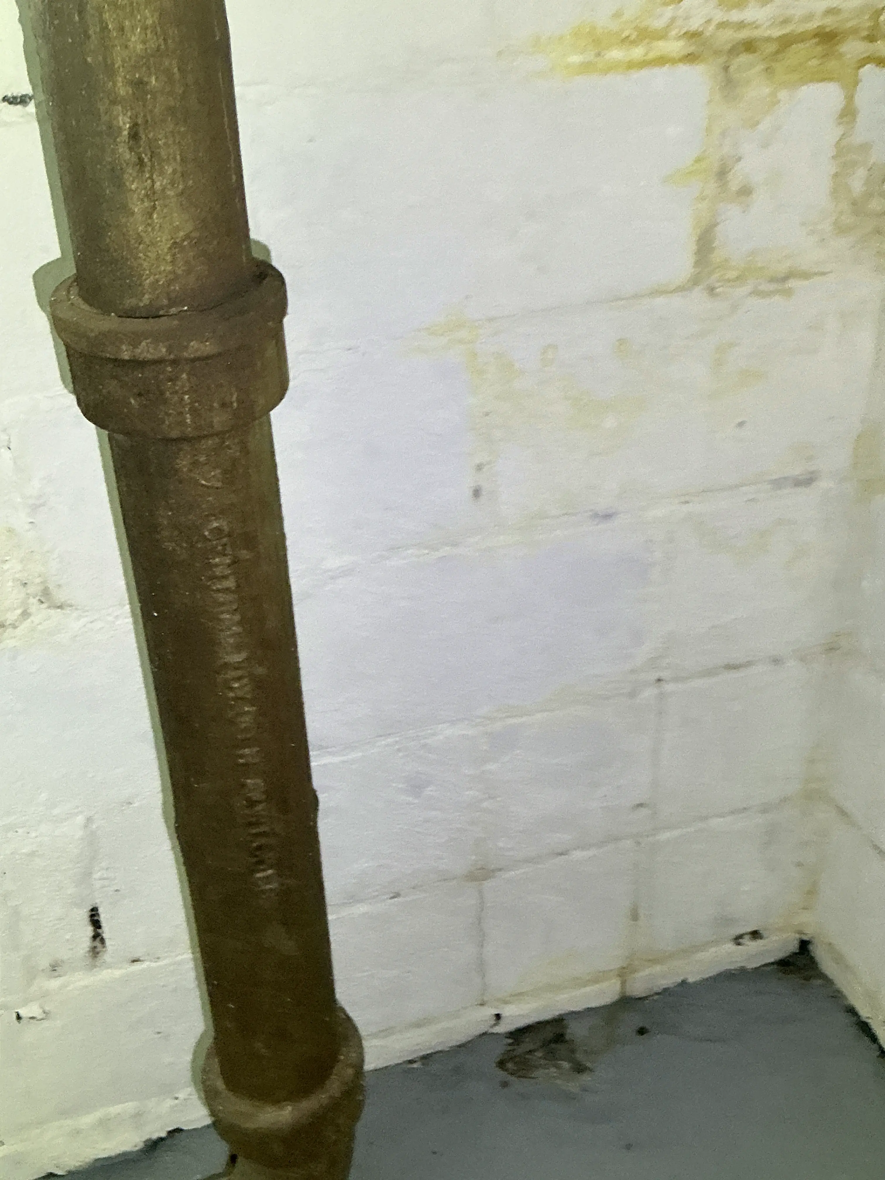 Cast iron plumbing drain pipe installed in a basement during a mold testing 2026-08-29