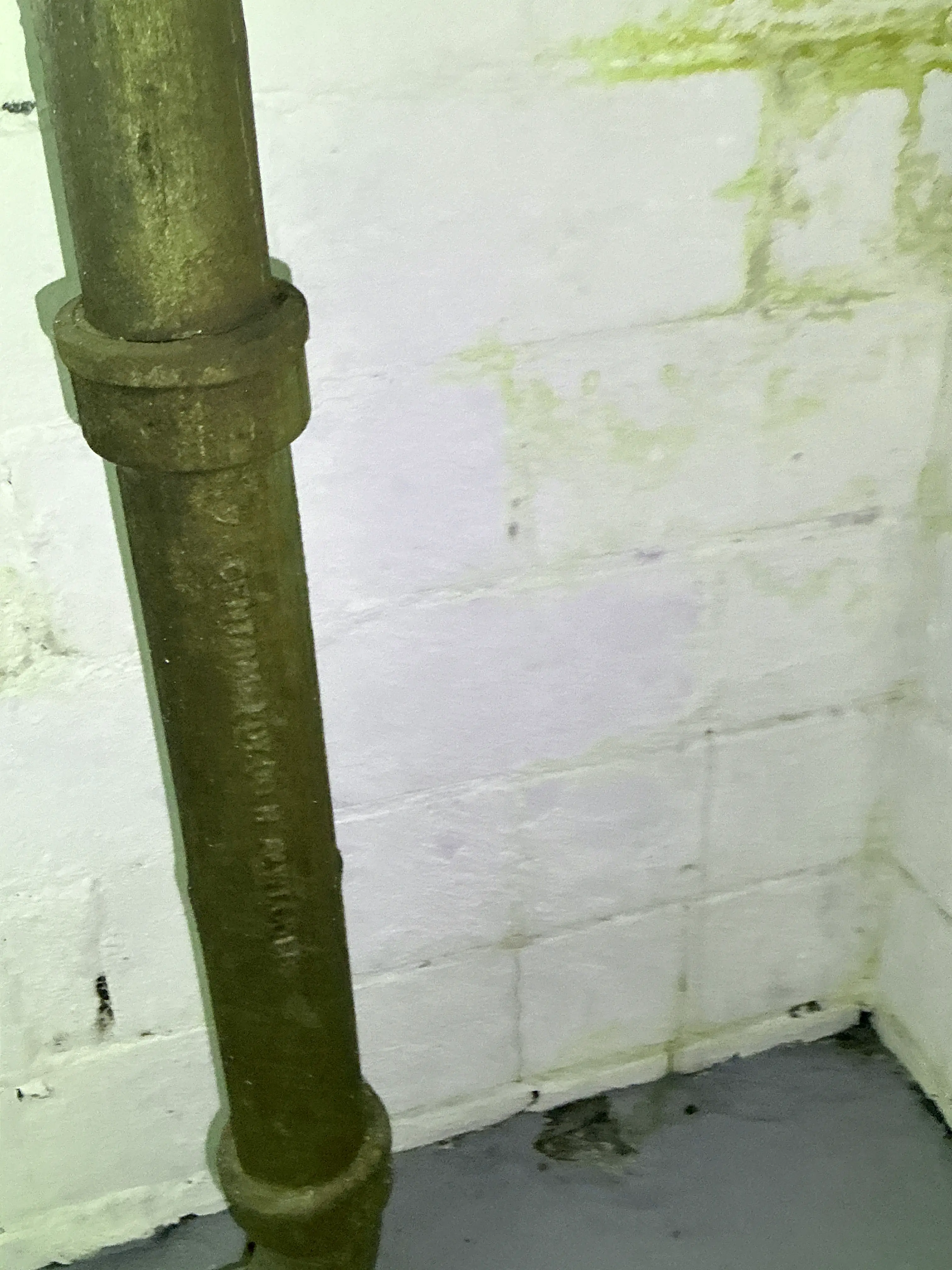 Cast iron plumbing drain pipe installed in a basement during a lead inspection 2026-07-10